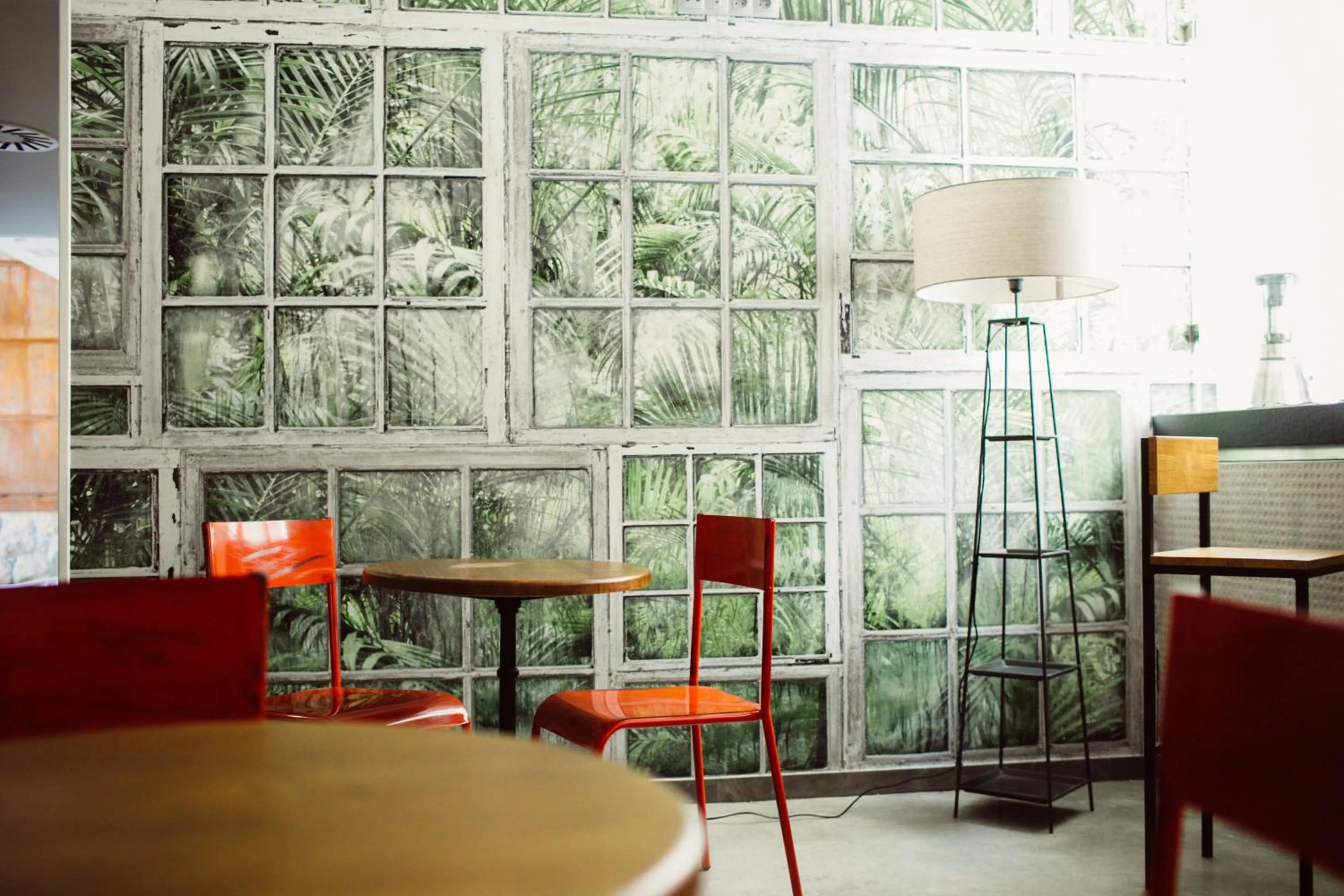 Lounge or bar in Hotel Cuevas - Adults Only