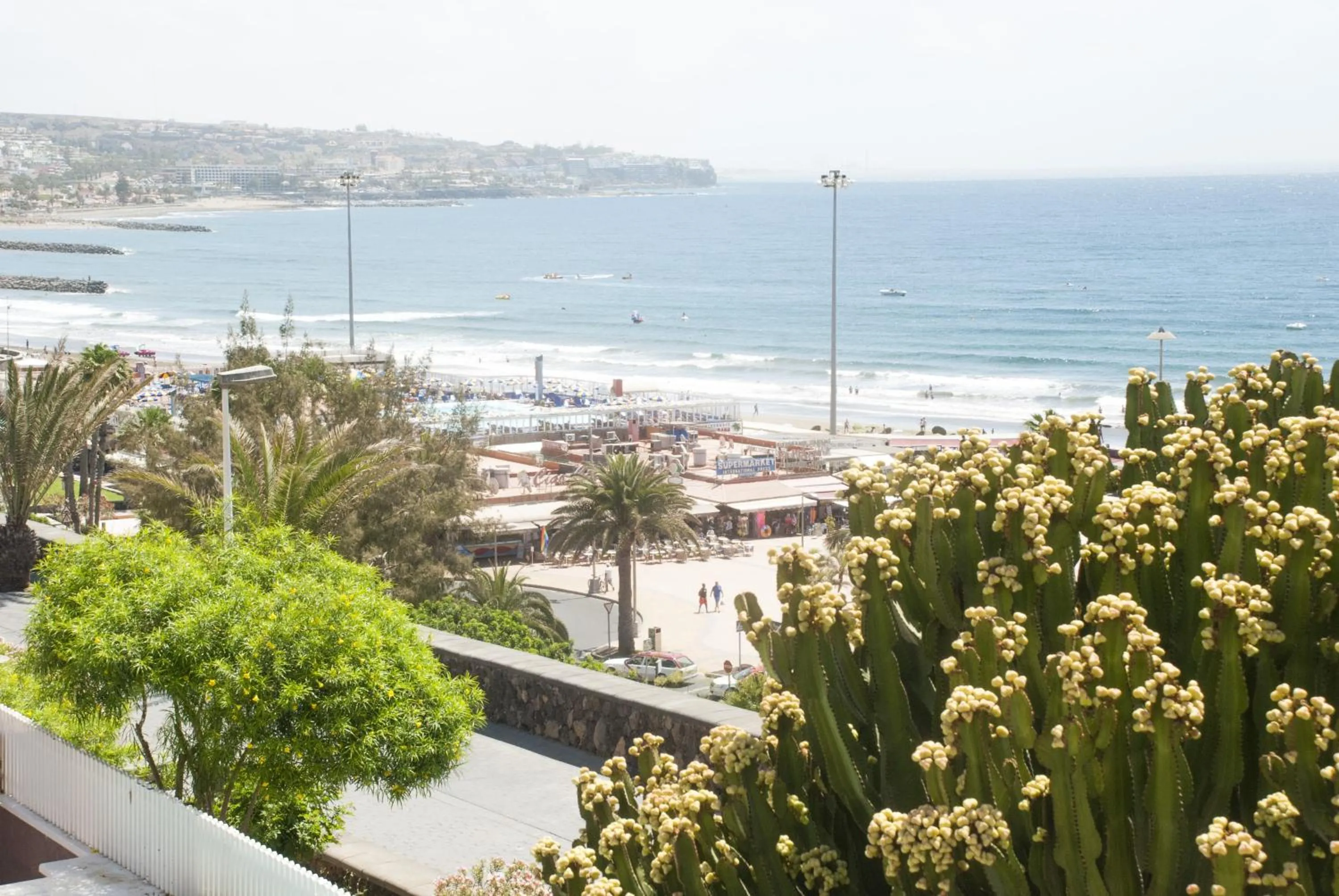 Sea view in Apartamentos El Paseo