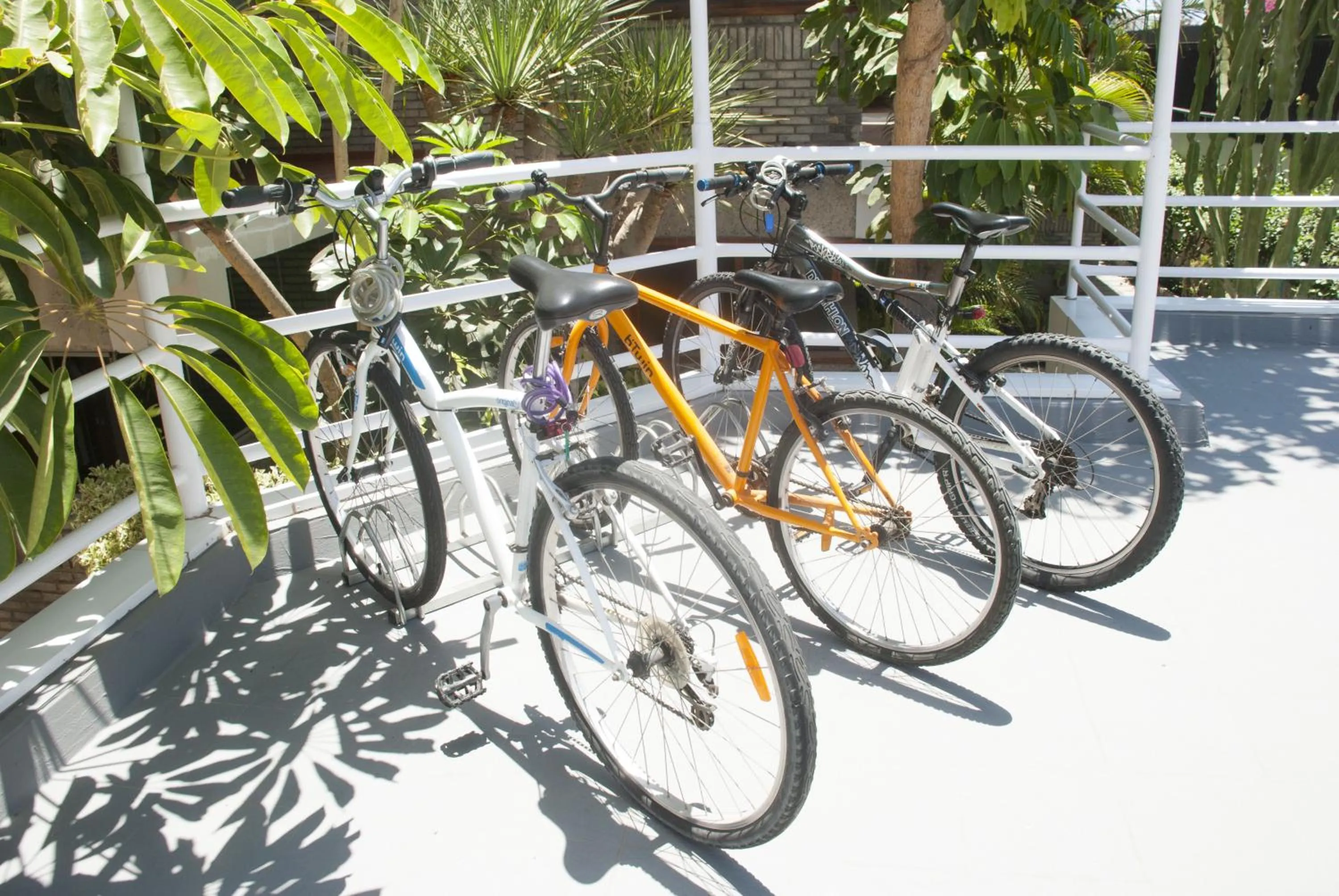 Area and facilities in Apartamentos El Paseo