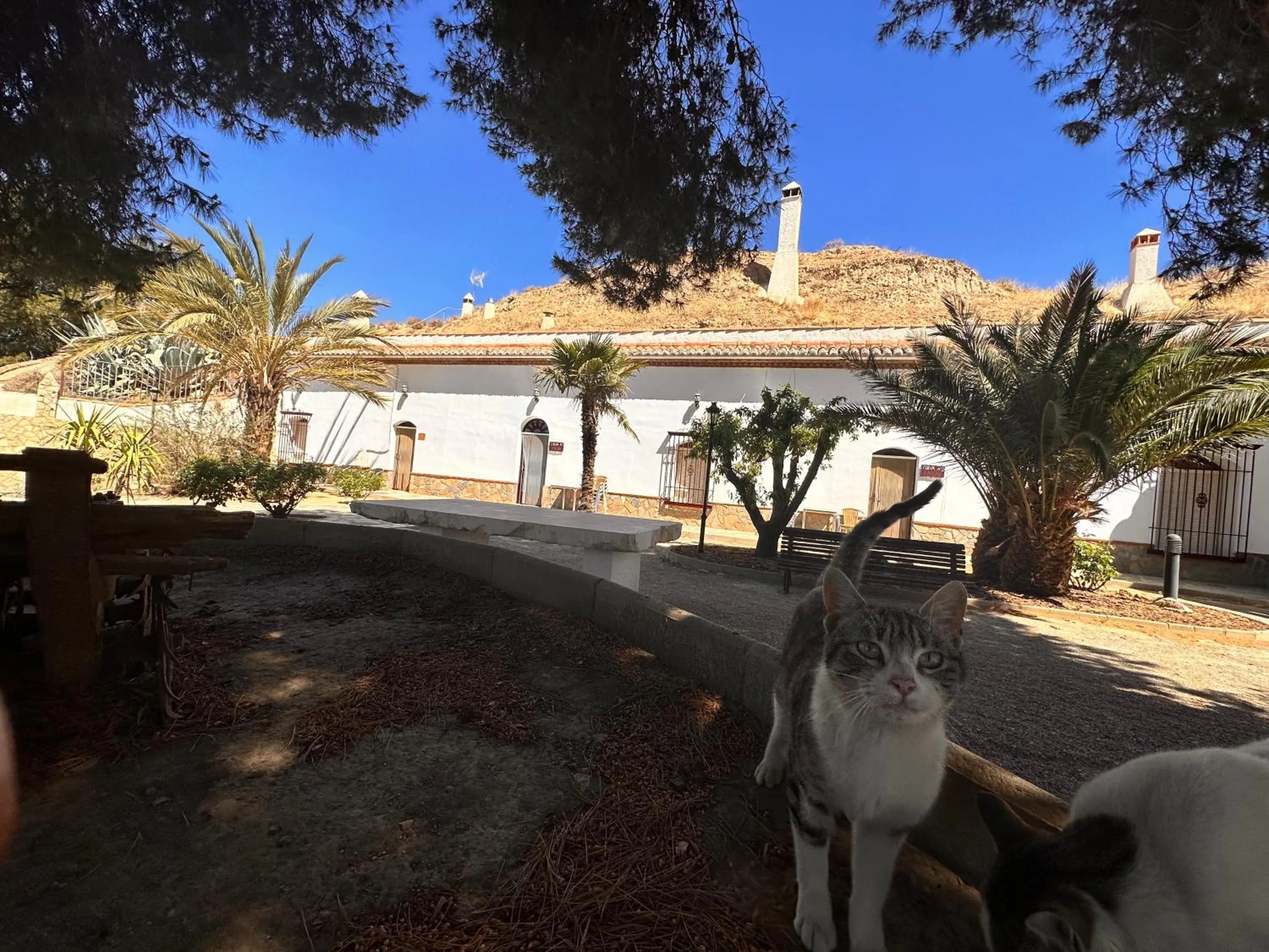 Property building in Cuevas La Granja