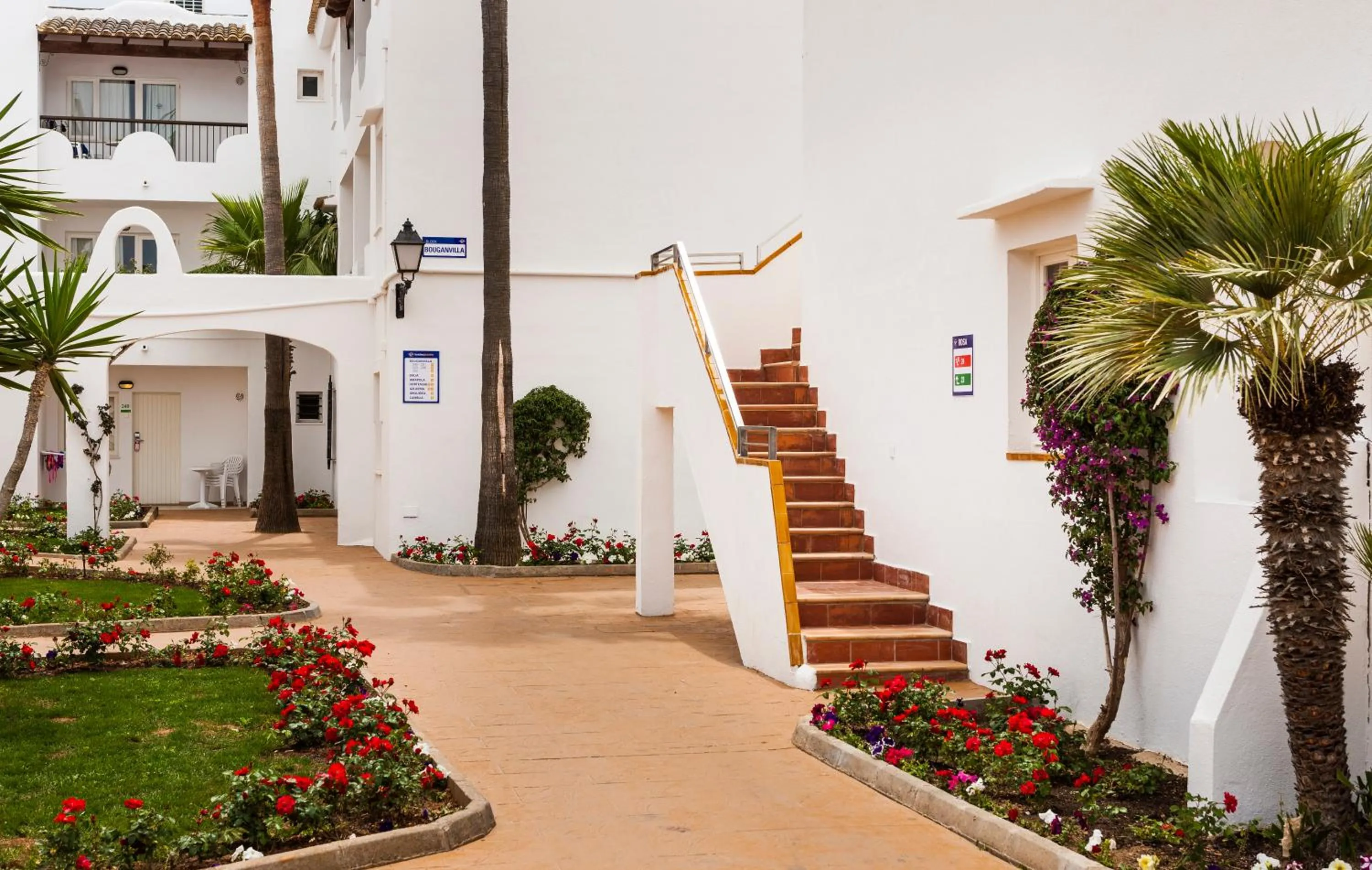 Garden in Globales Bouganvilla