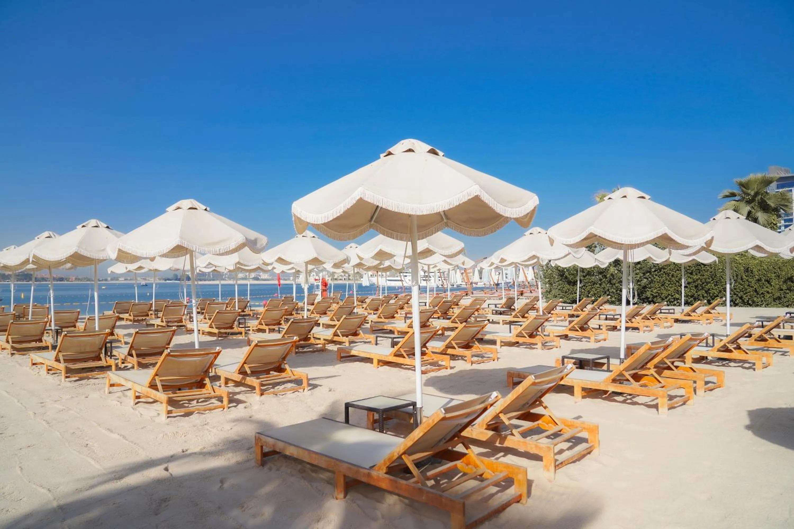 Beach in NH Collection Dubai The Palm