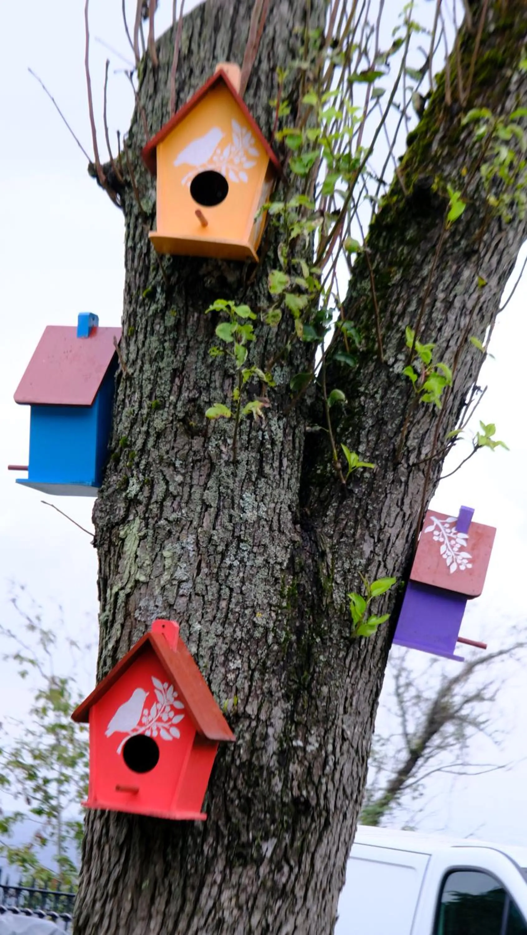 Garden in HAT NATUREL RESORT Sapanca