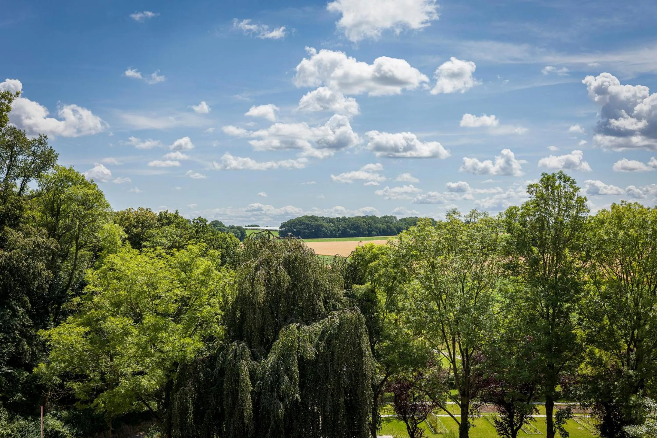 Natural landscape in SEPHS Hotel Sittard