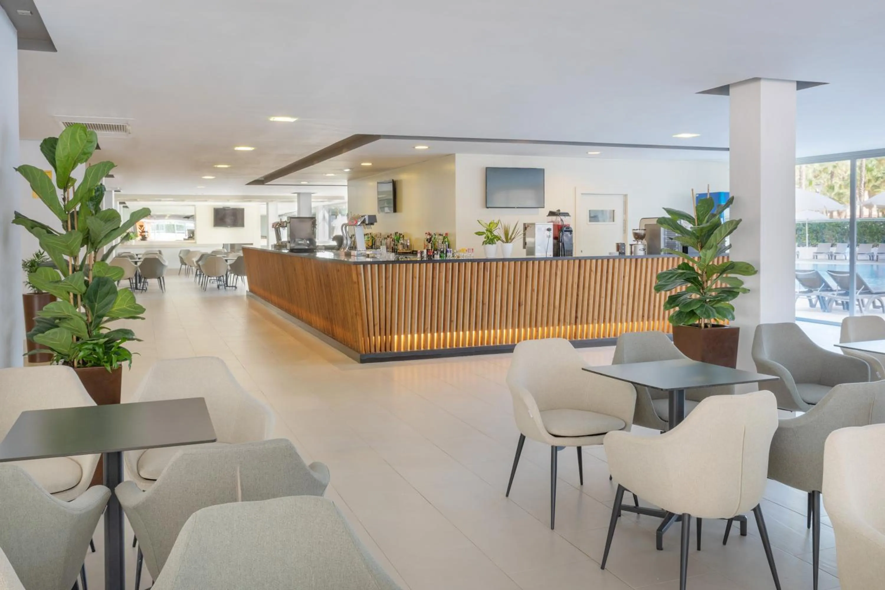 Restaurant/places to eat in Sol Palmanova Mallorca