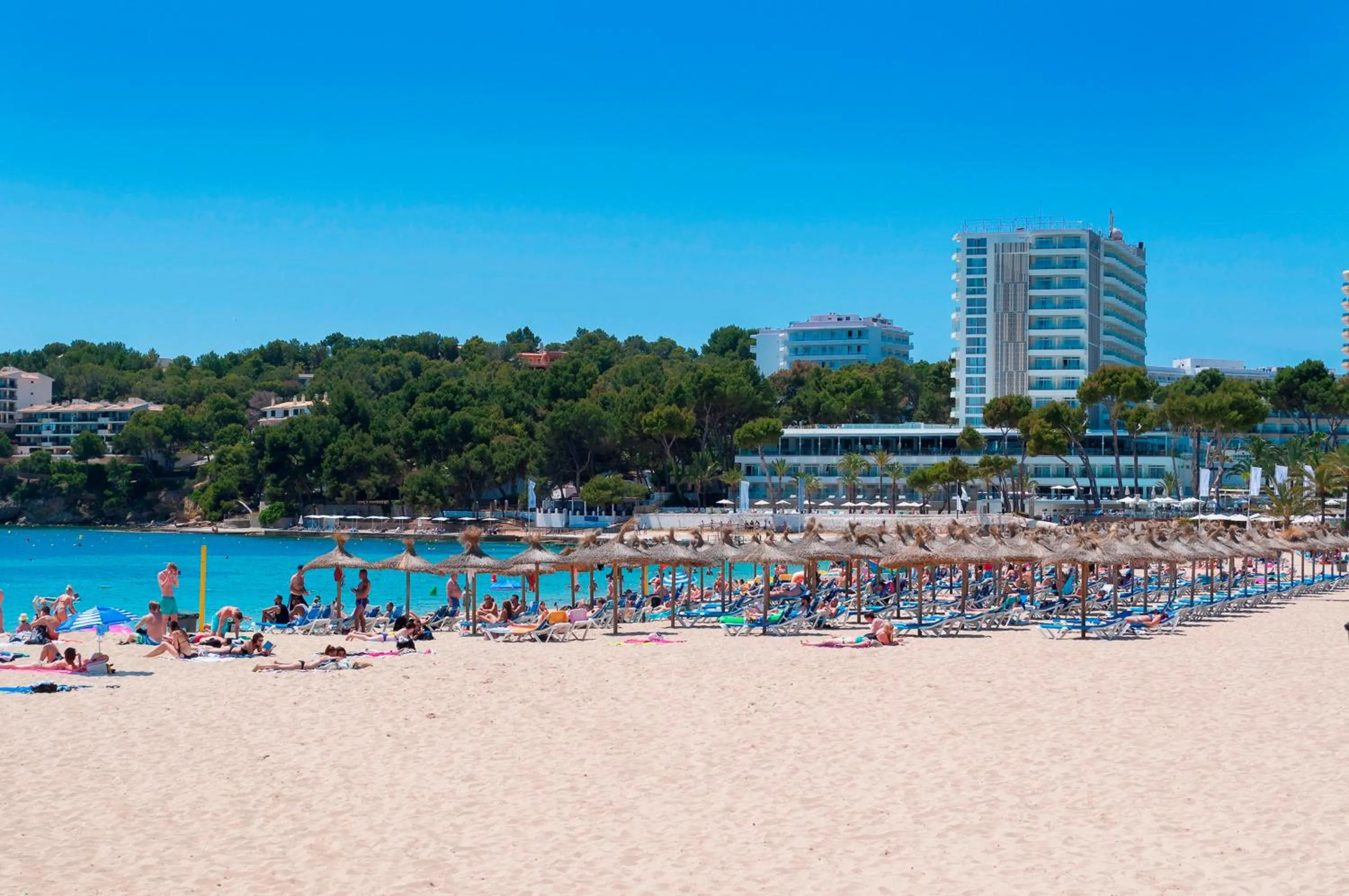 Beach in Meliá Calviá Beach