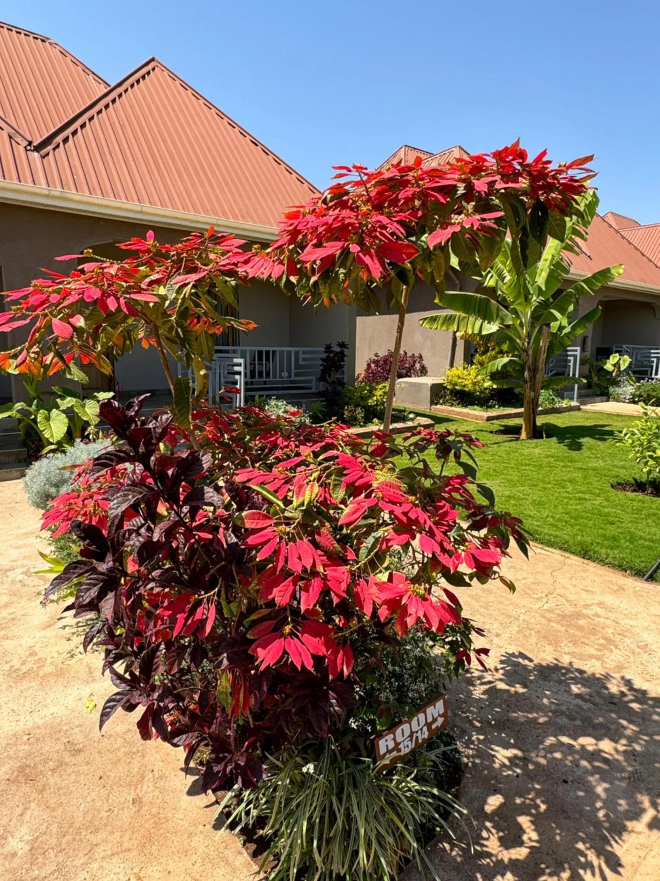 Photo of the whole room in Heart and Soul Lodge