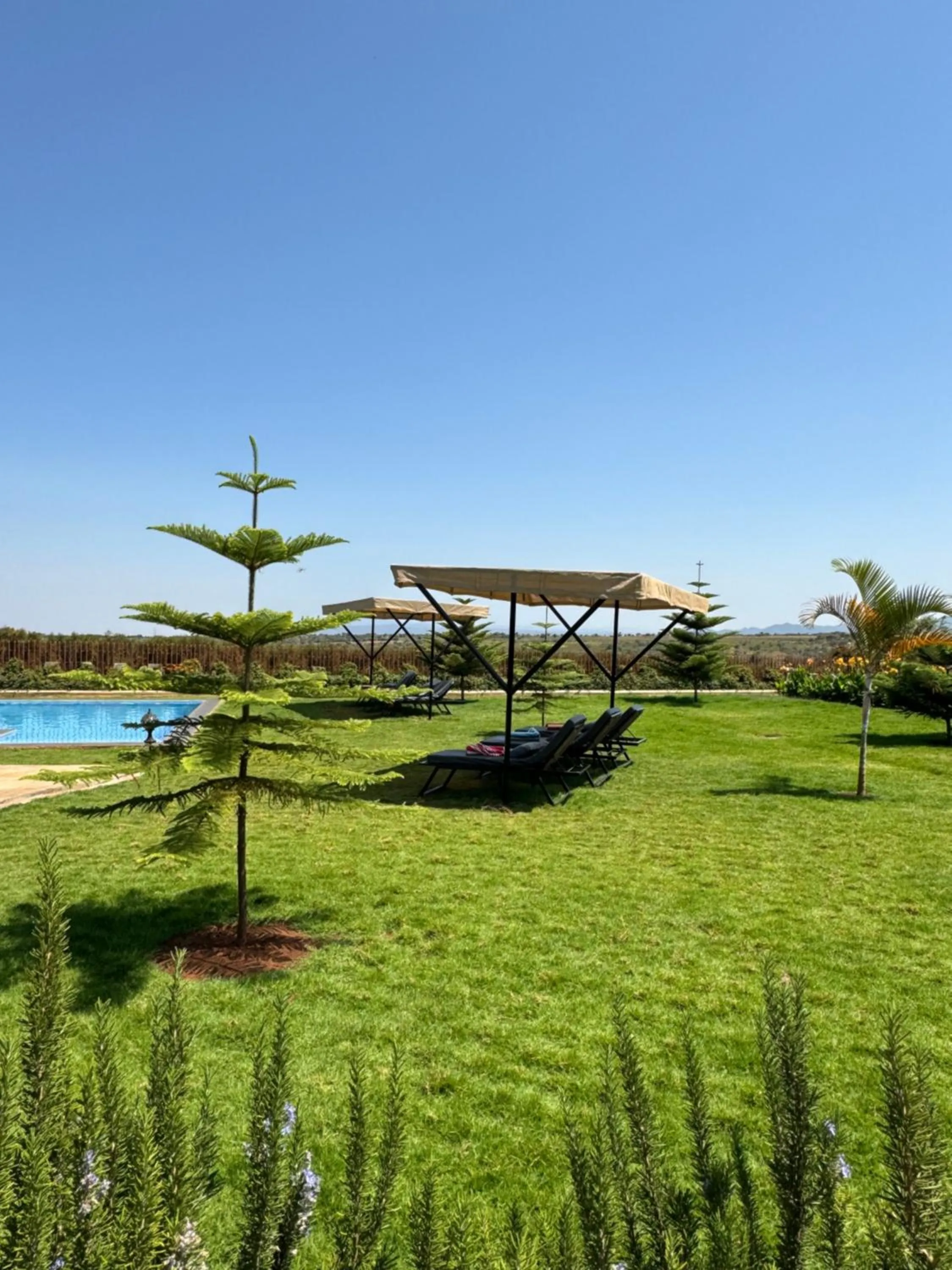 Garden in Heart and Soul Lodge