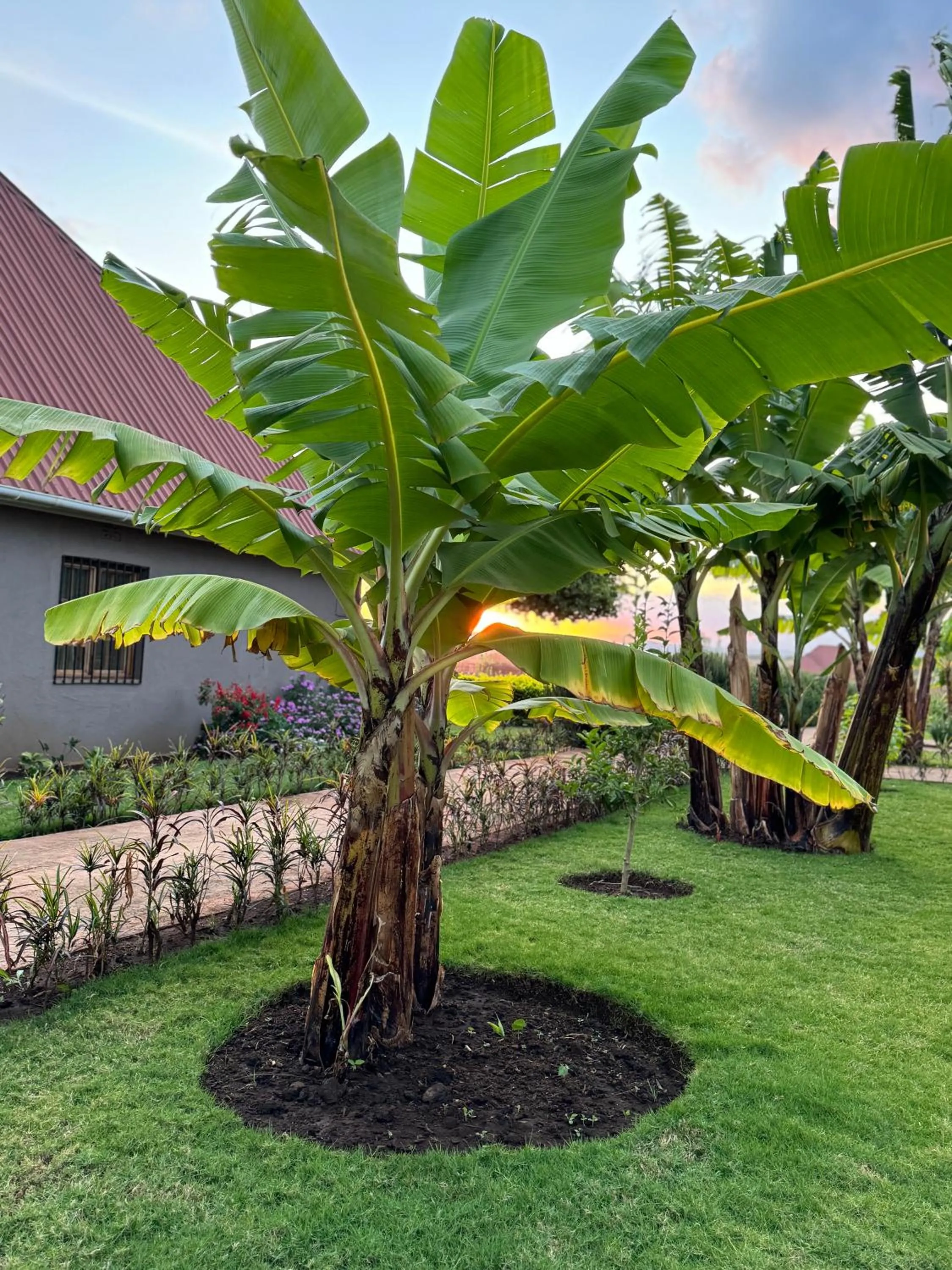 Garden in Heart and Soul Lodge