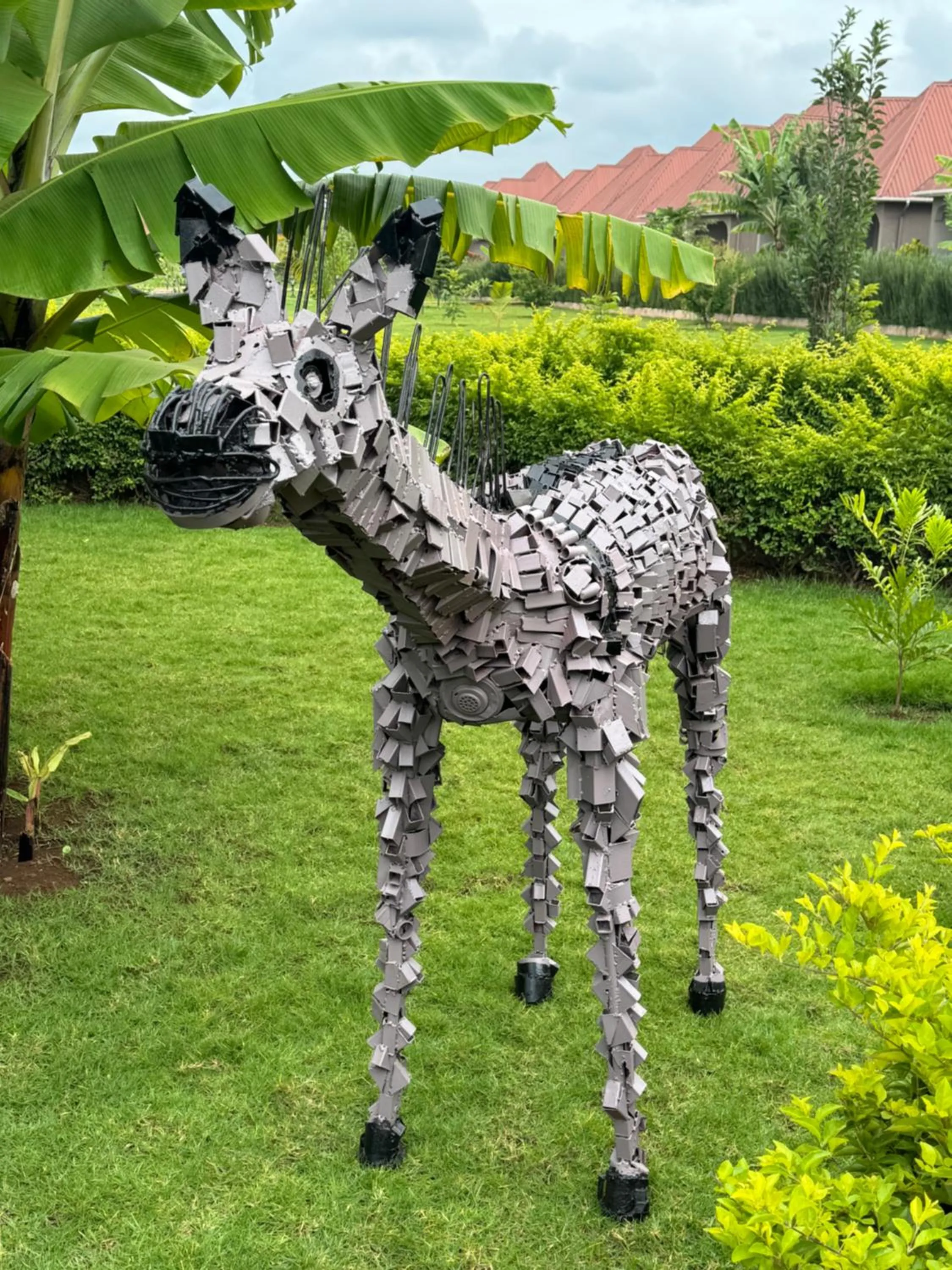 Garden in Heart and Soul Lodge