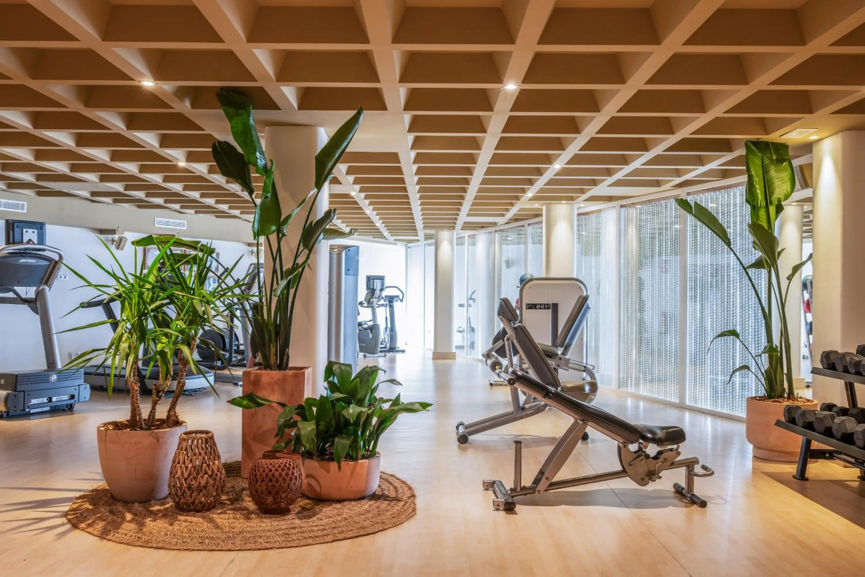 Fitness centre/facilities in Zel Mallorca