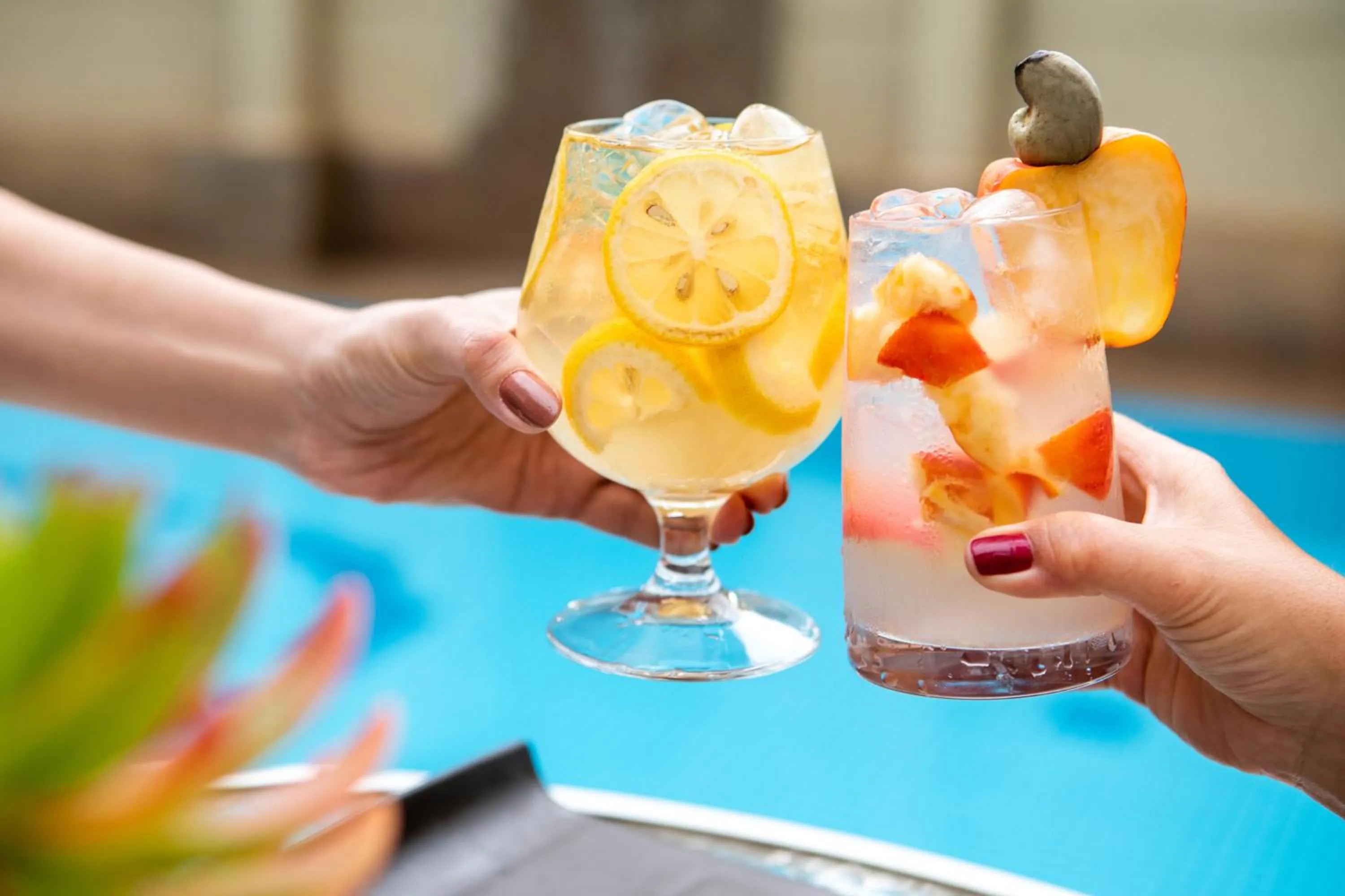 Food and drinks in Sol Guadalupe