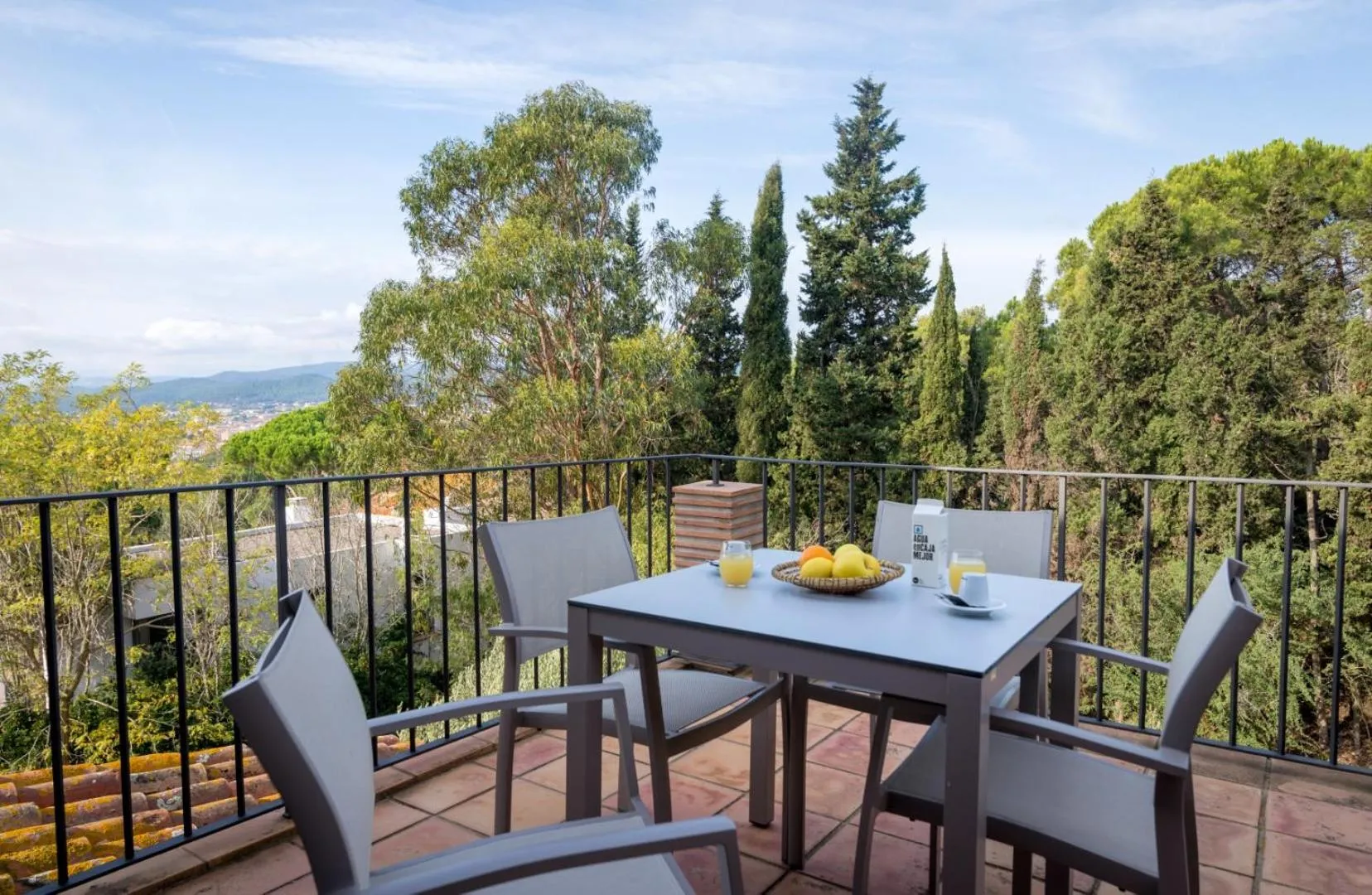 View (from property/room) in Mas Ses Vinyes - Adults Only