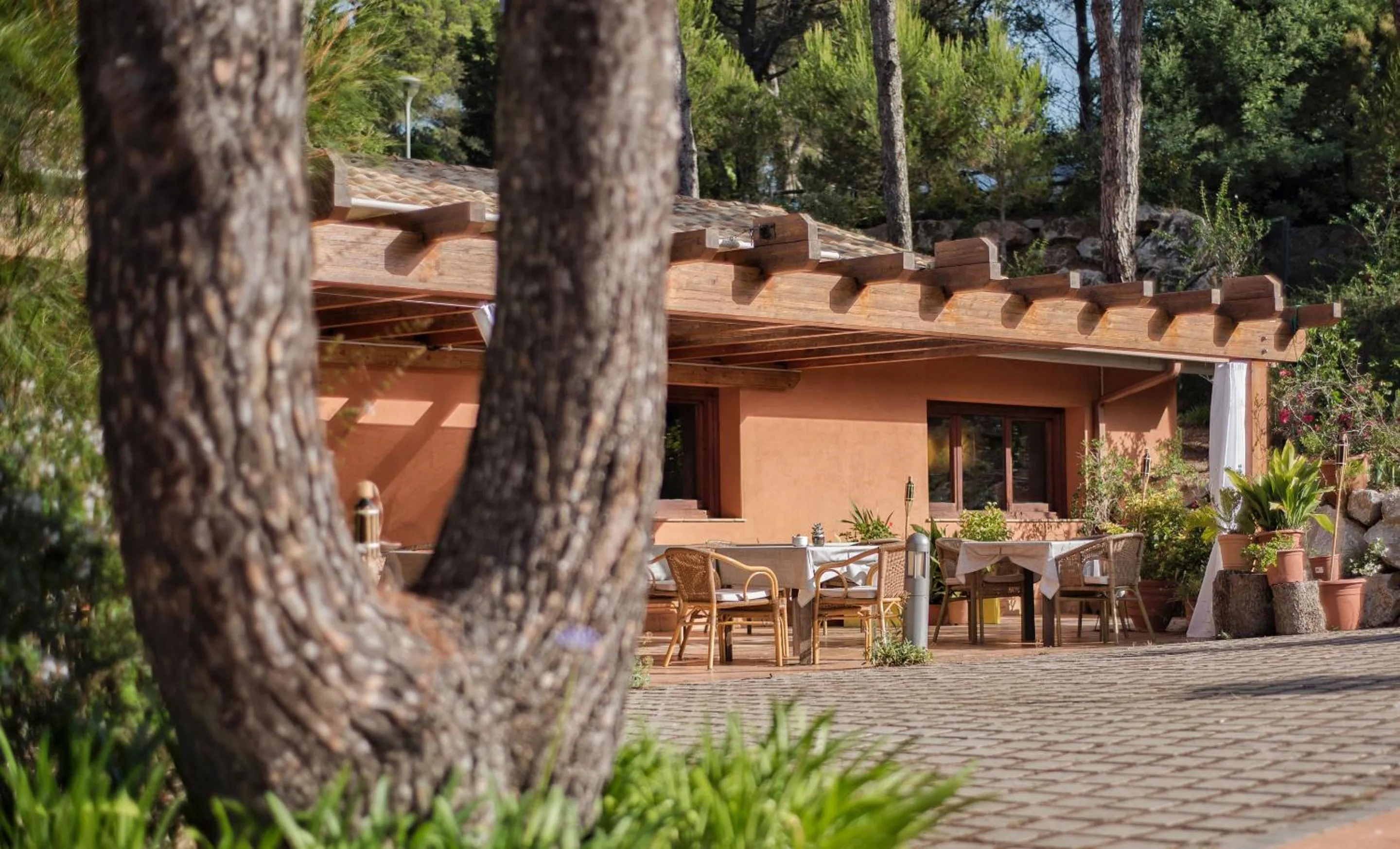 Restaurant/places to eat in Mas Ses Vinyes - Adults Only