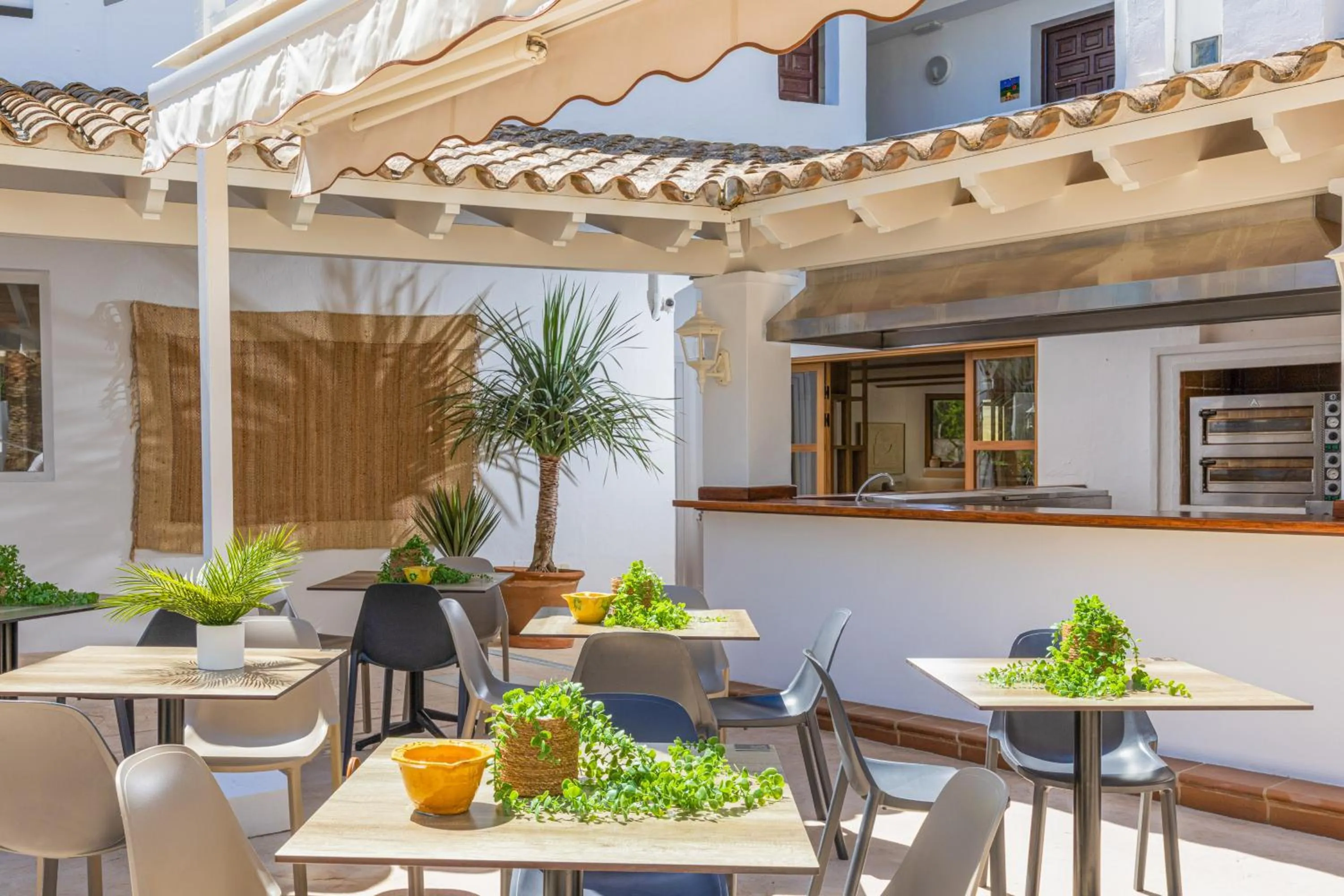 Restaurant/places to eat in Sol Cala d´Or Apartamentos