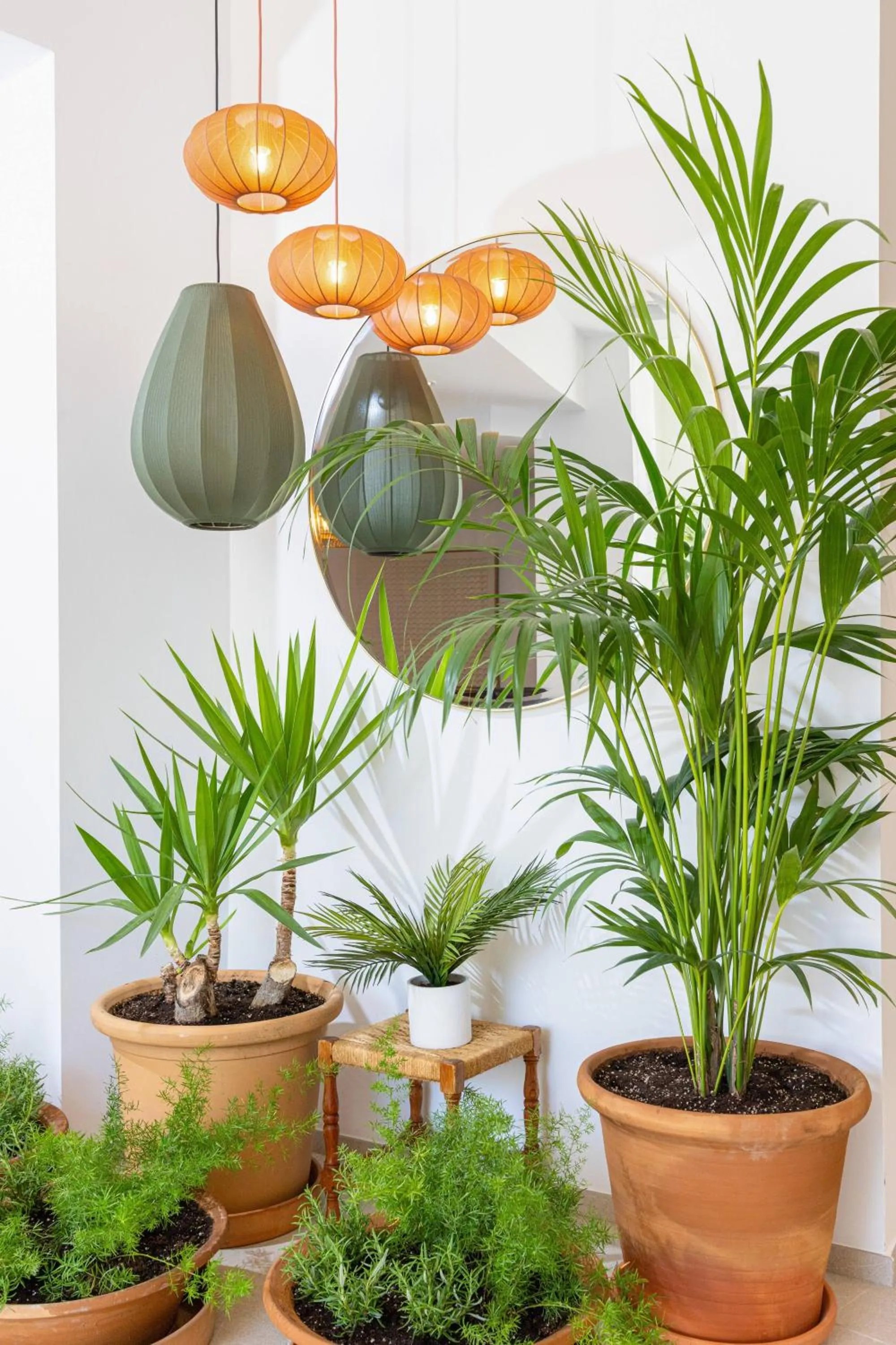 Sol Cala d´Or Apartamentos