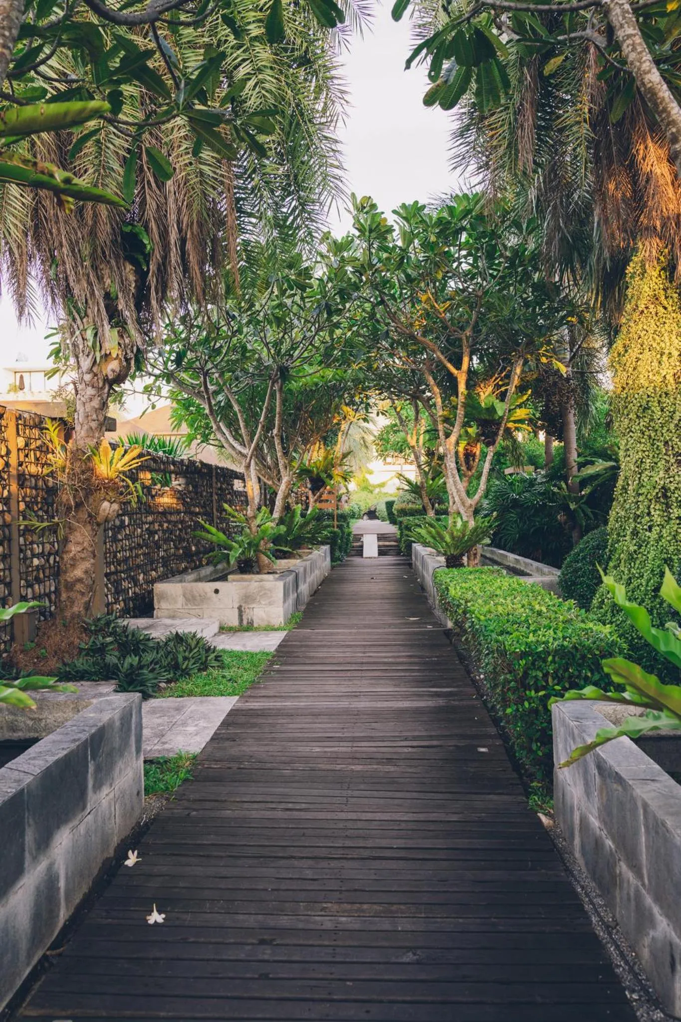 Garden in Allure Resort