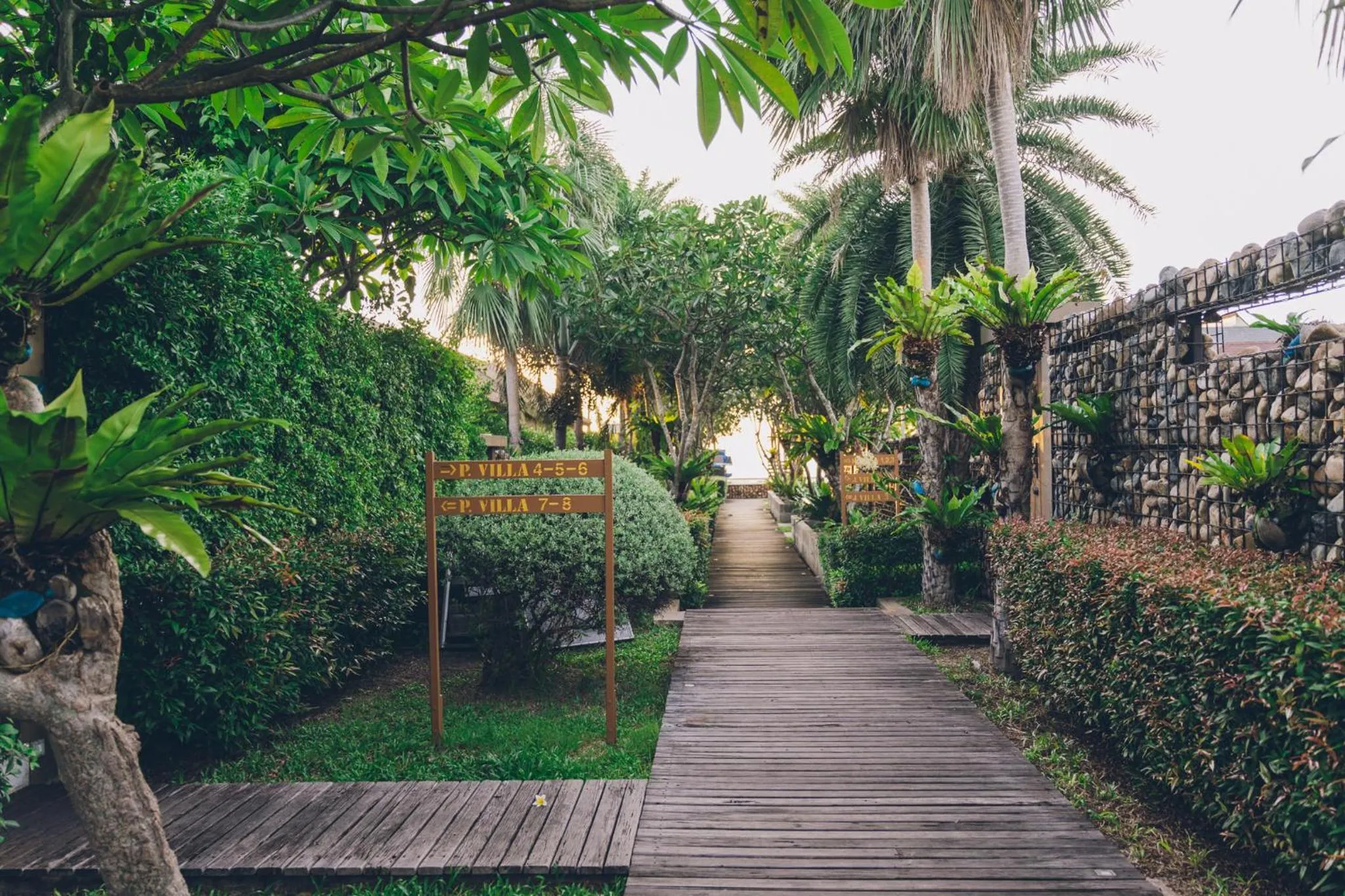 Day in Allure Resort