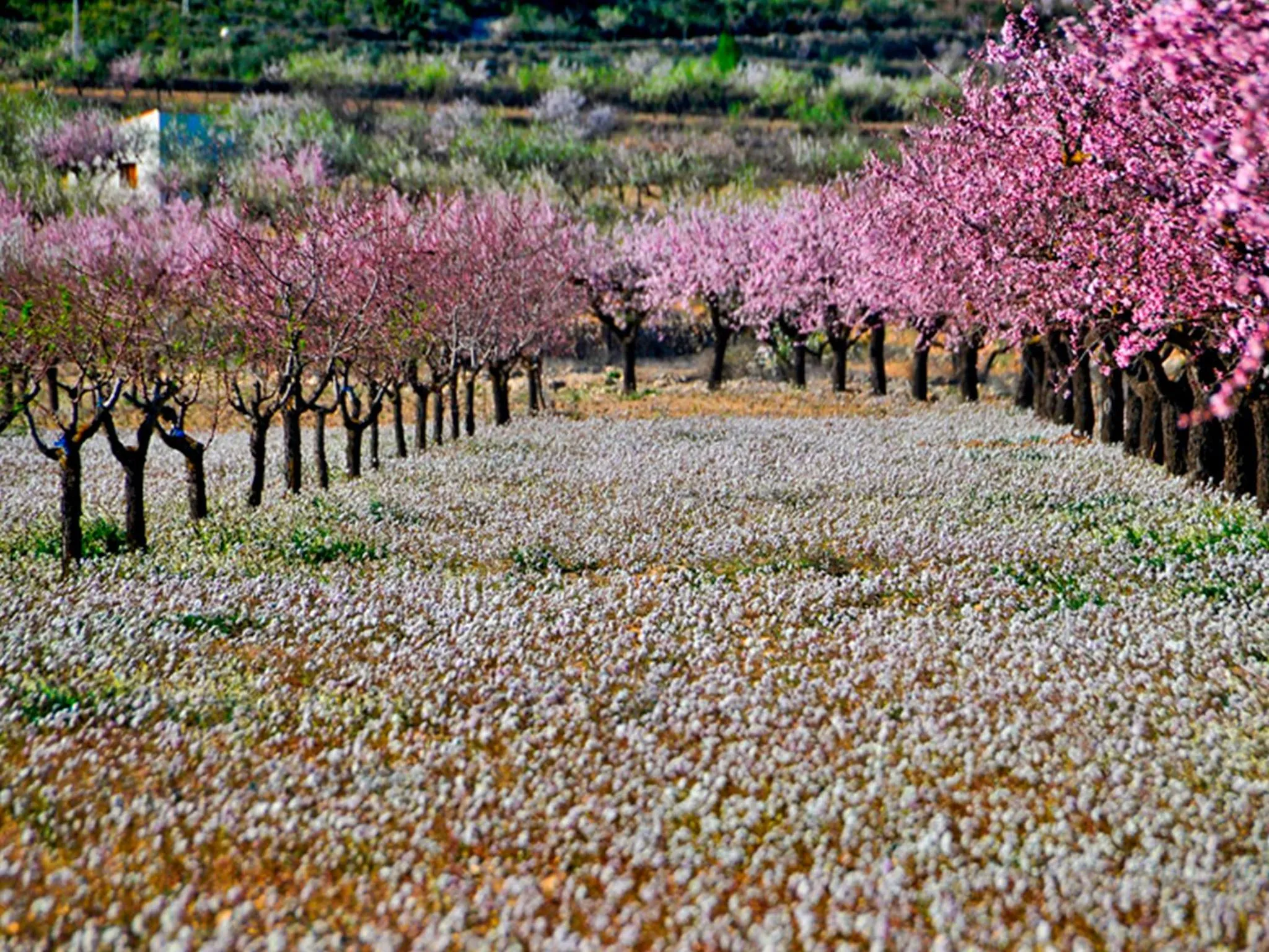 Spring in Hotel Hyltor