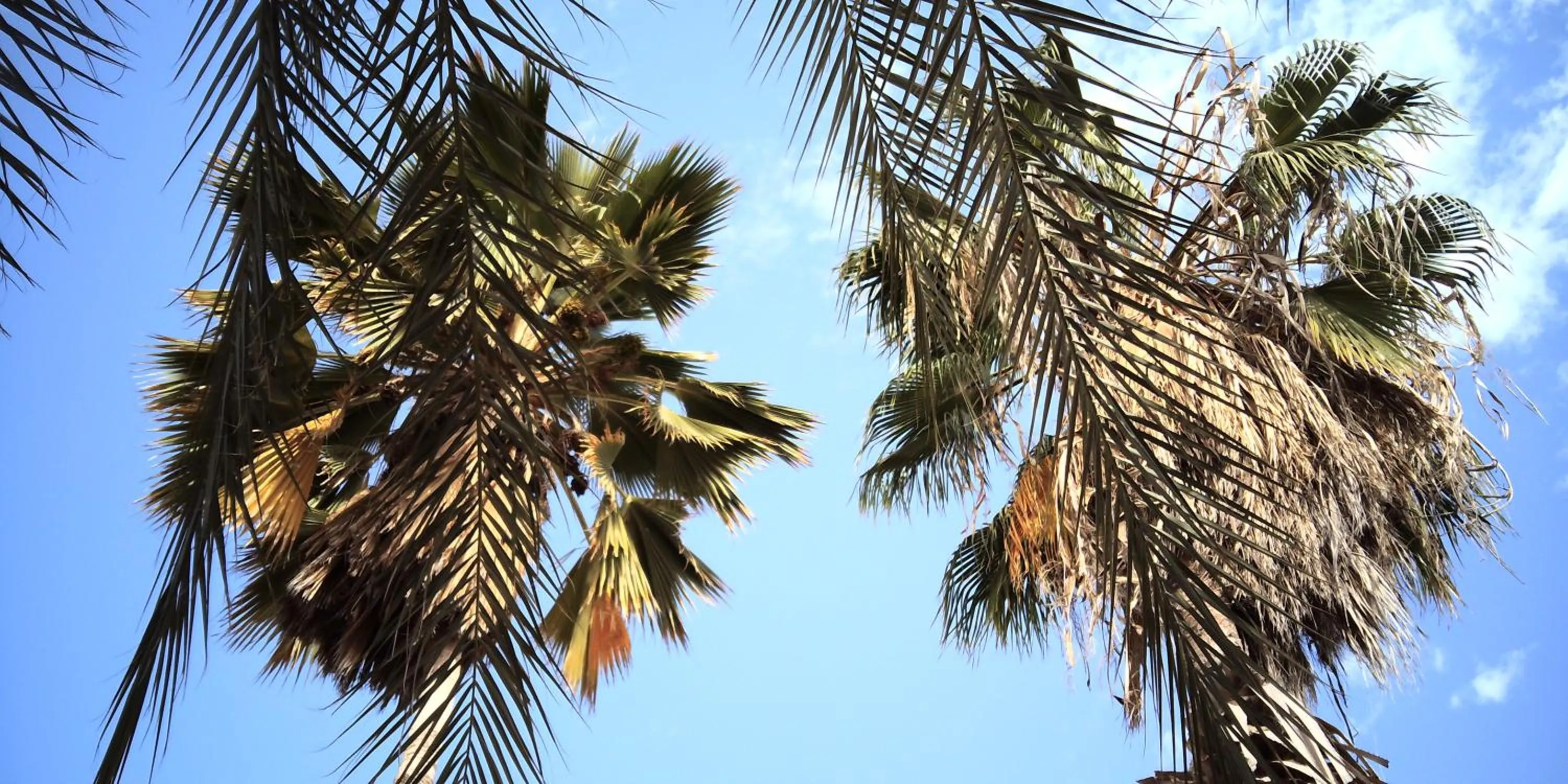 Property building in Auberge Triskell