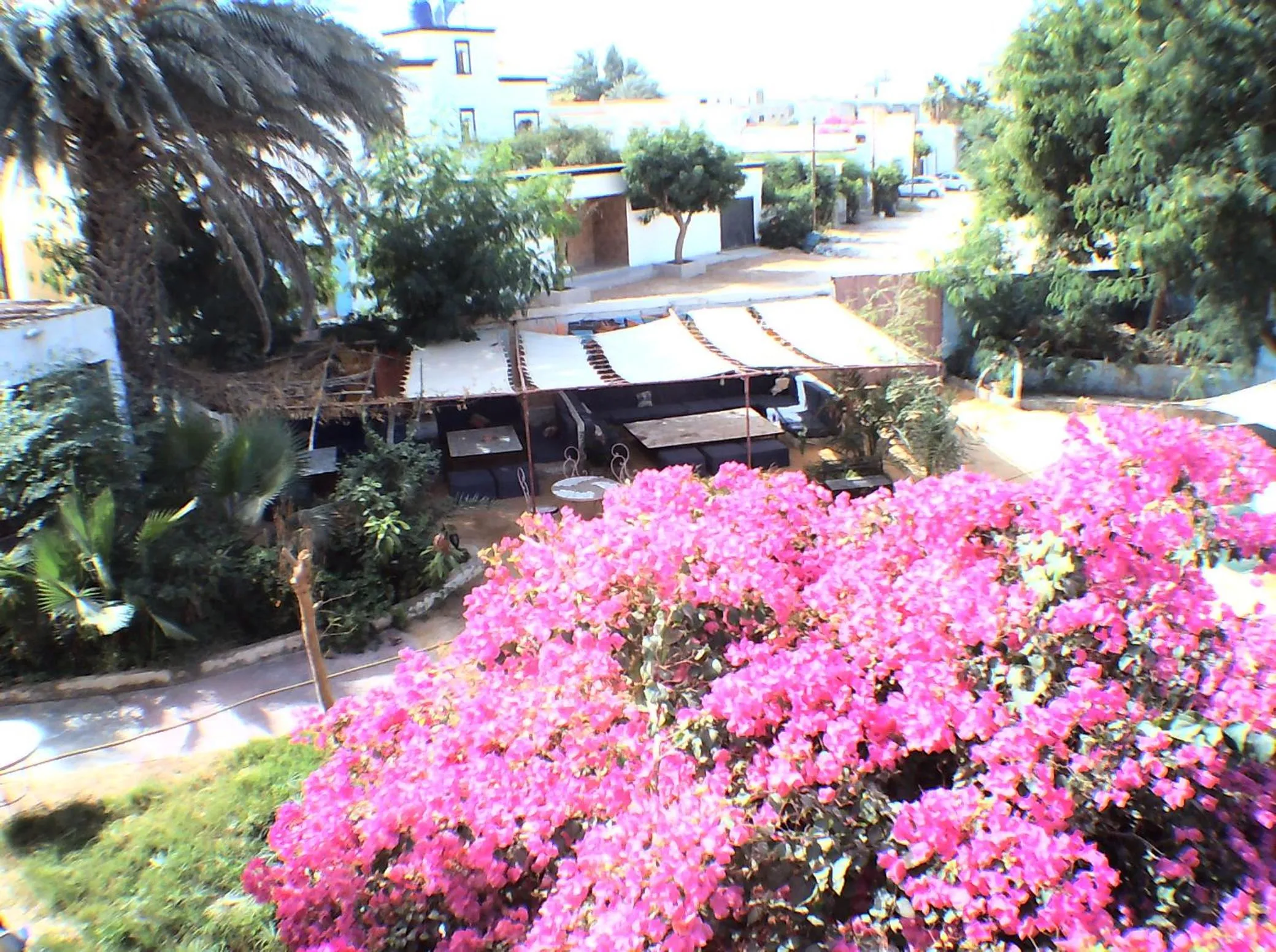 Garden in Auberge Triskell