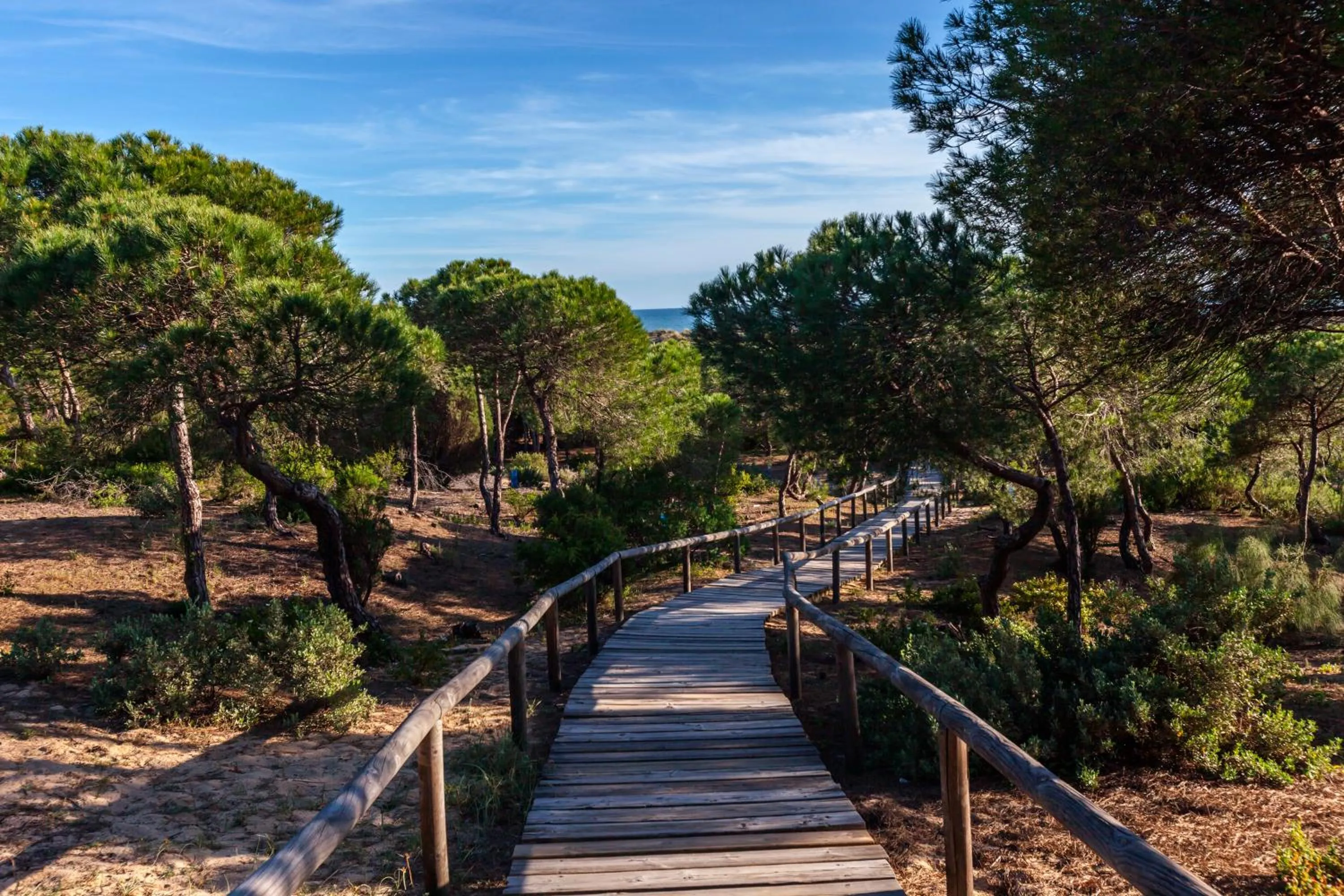 Beach in Barceló Punta Umbría Beach Resort