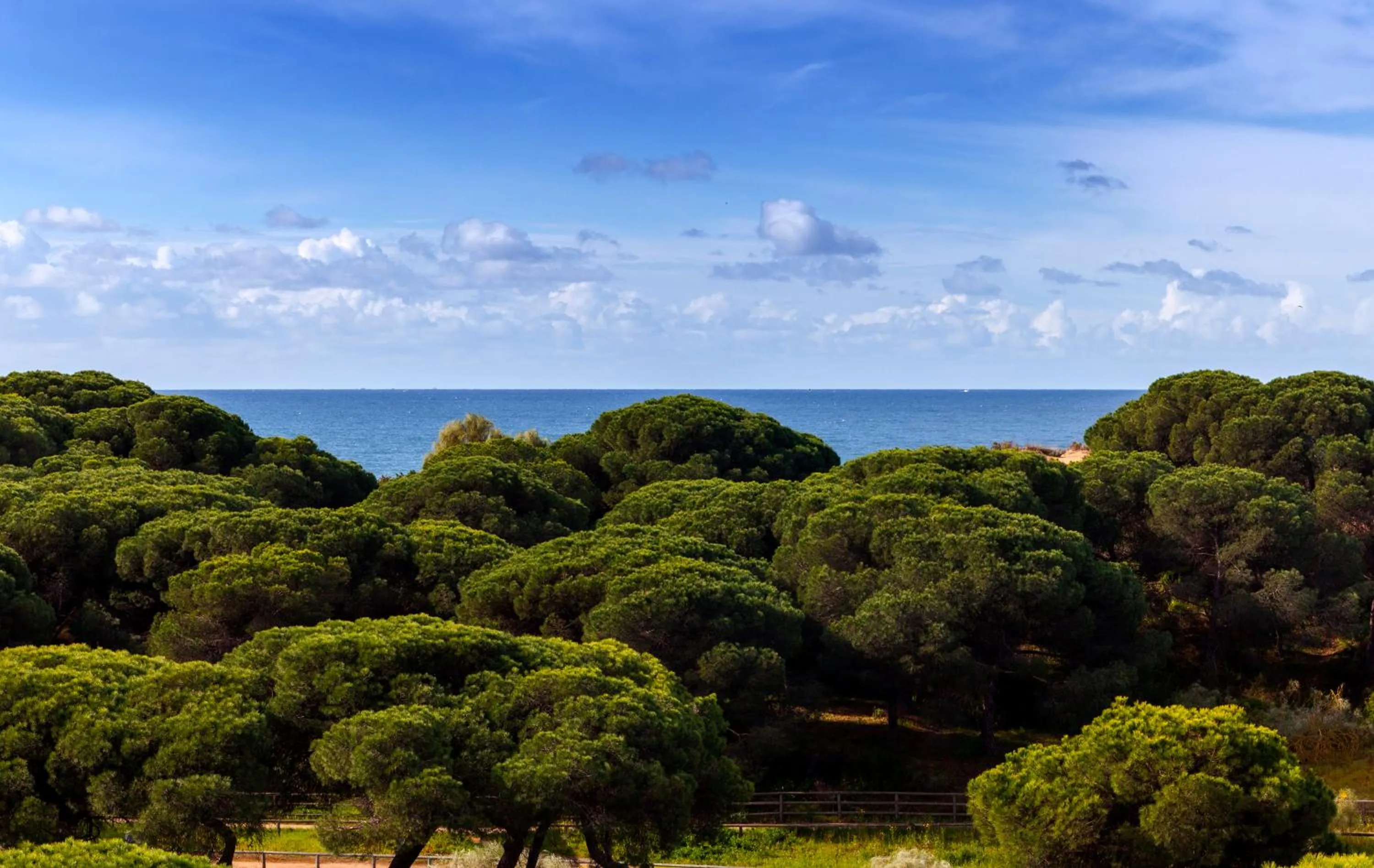 View (from property/room) in Barceló Punta Umbría Beach Resort