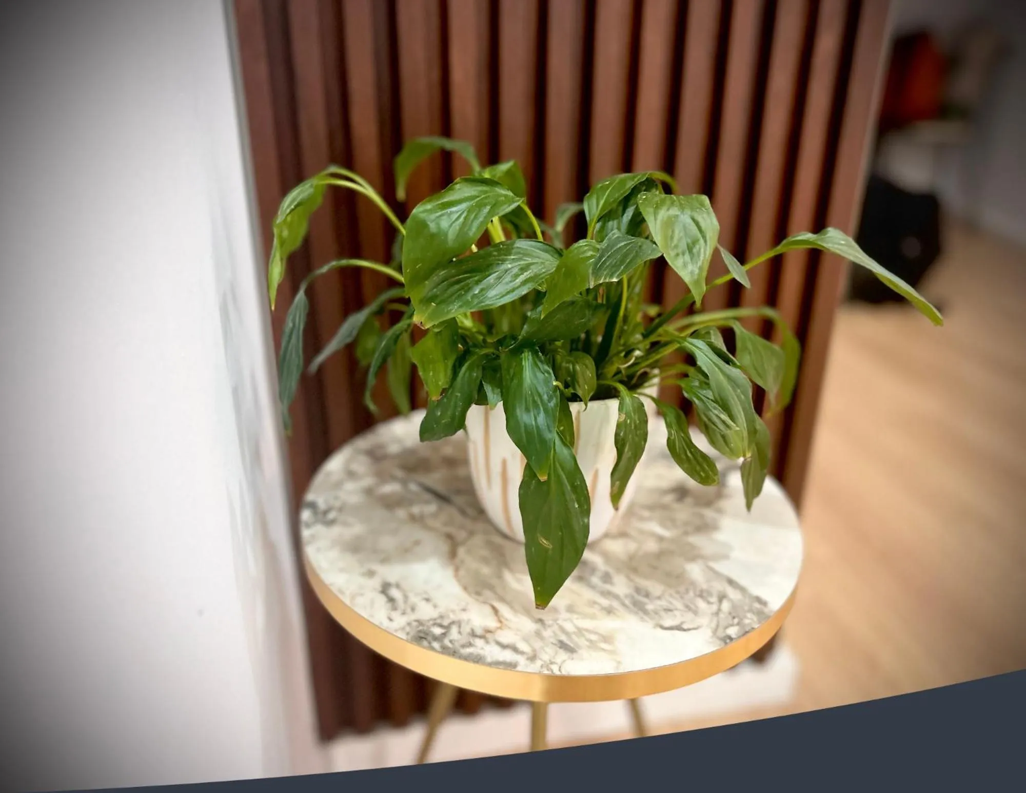Lobby or reception in Tirana Square Hotel