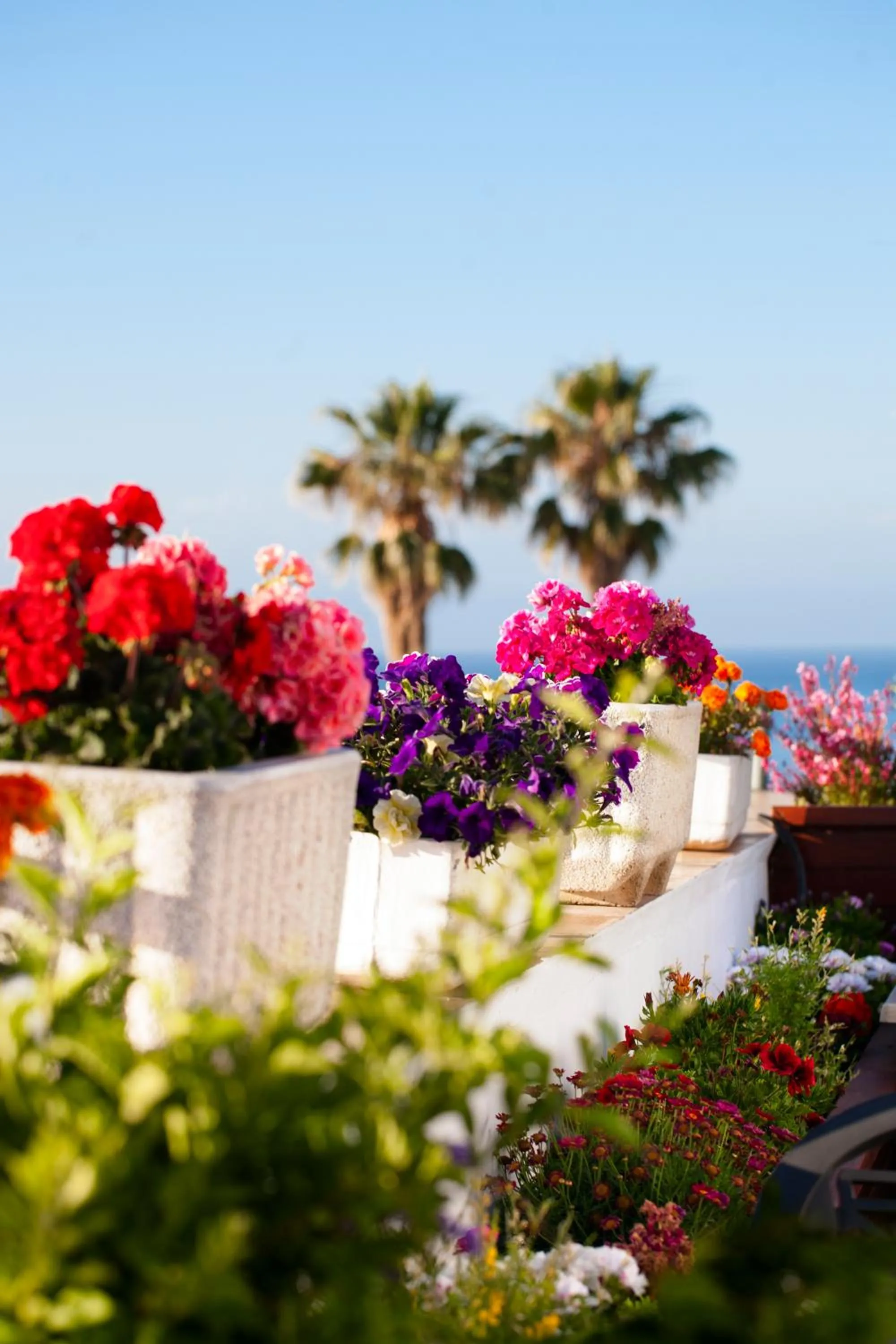 Decorative detail in Hotel Plaza Cavana