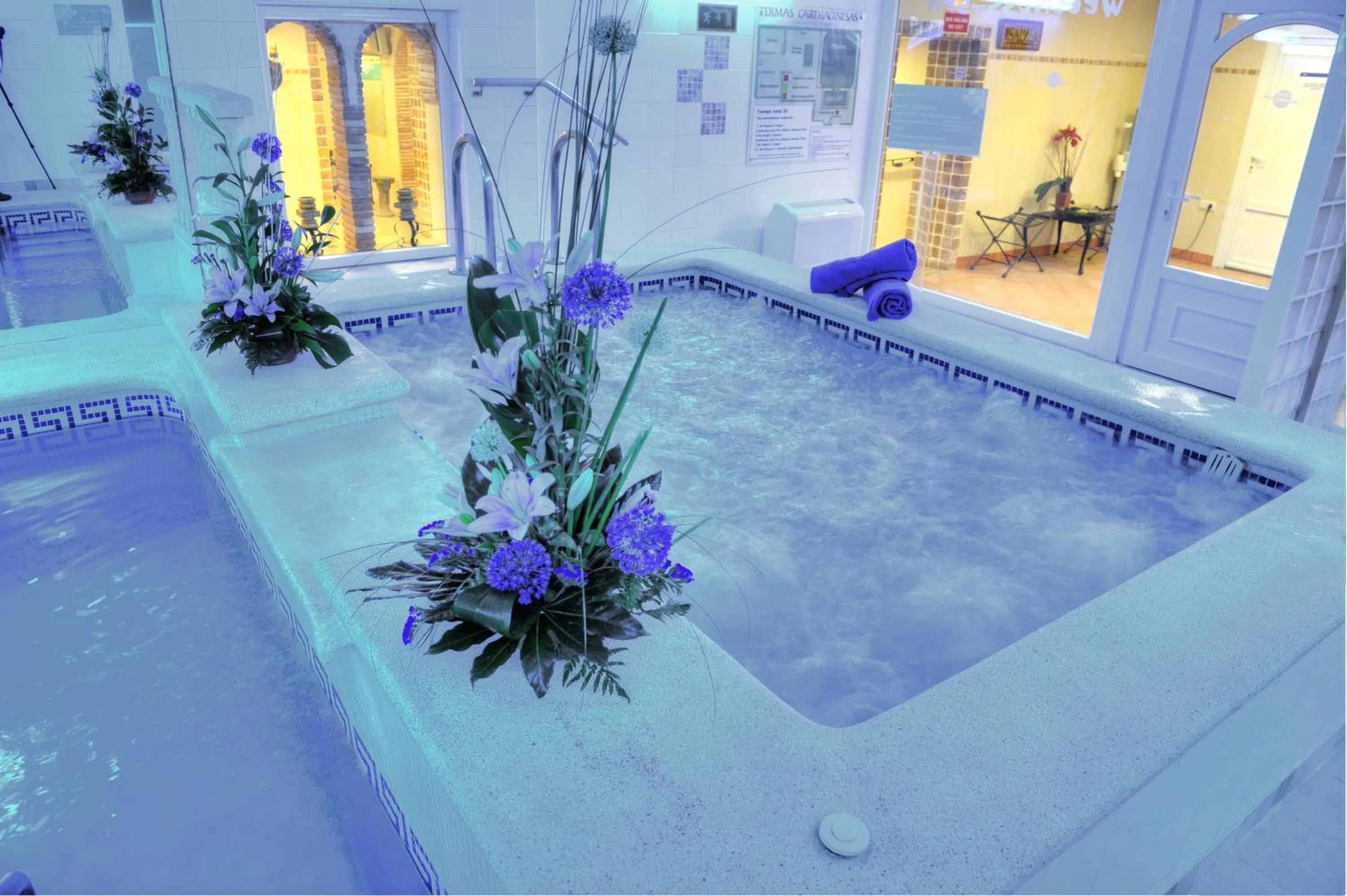 Pool view in Hotel & Spa Entremares