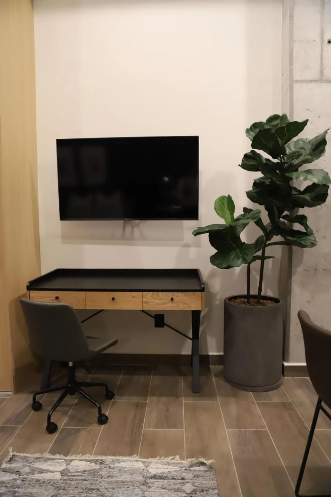 TV and multimedia in Punto Panamericano