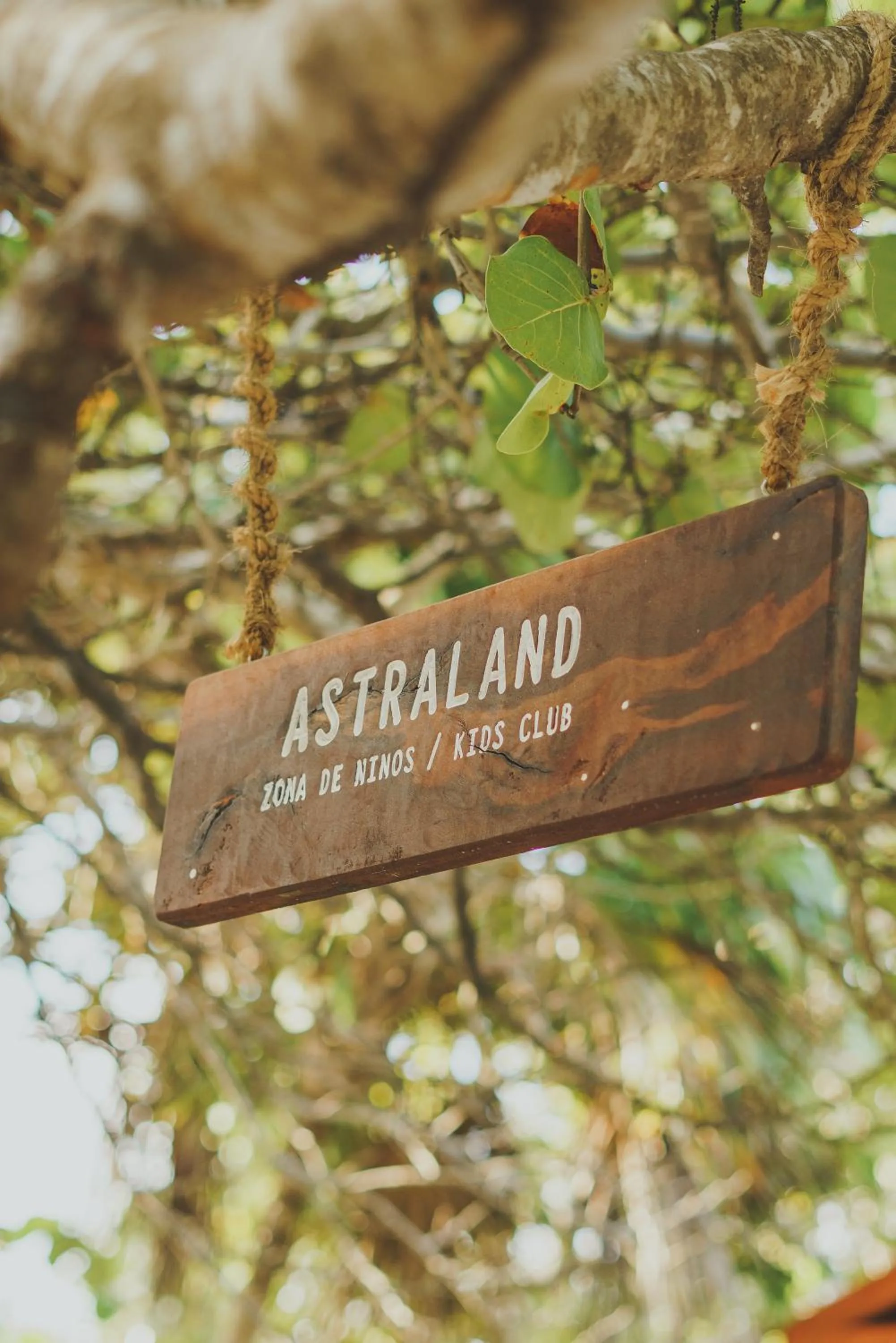 Natural landscape in Astral Tulum