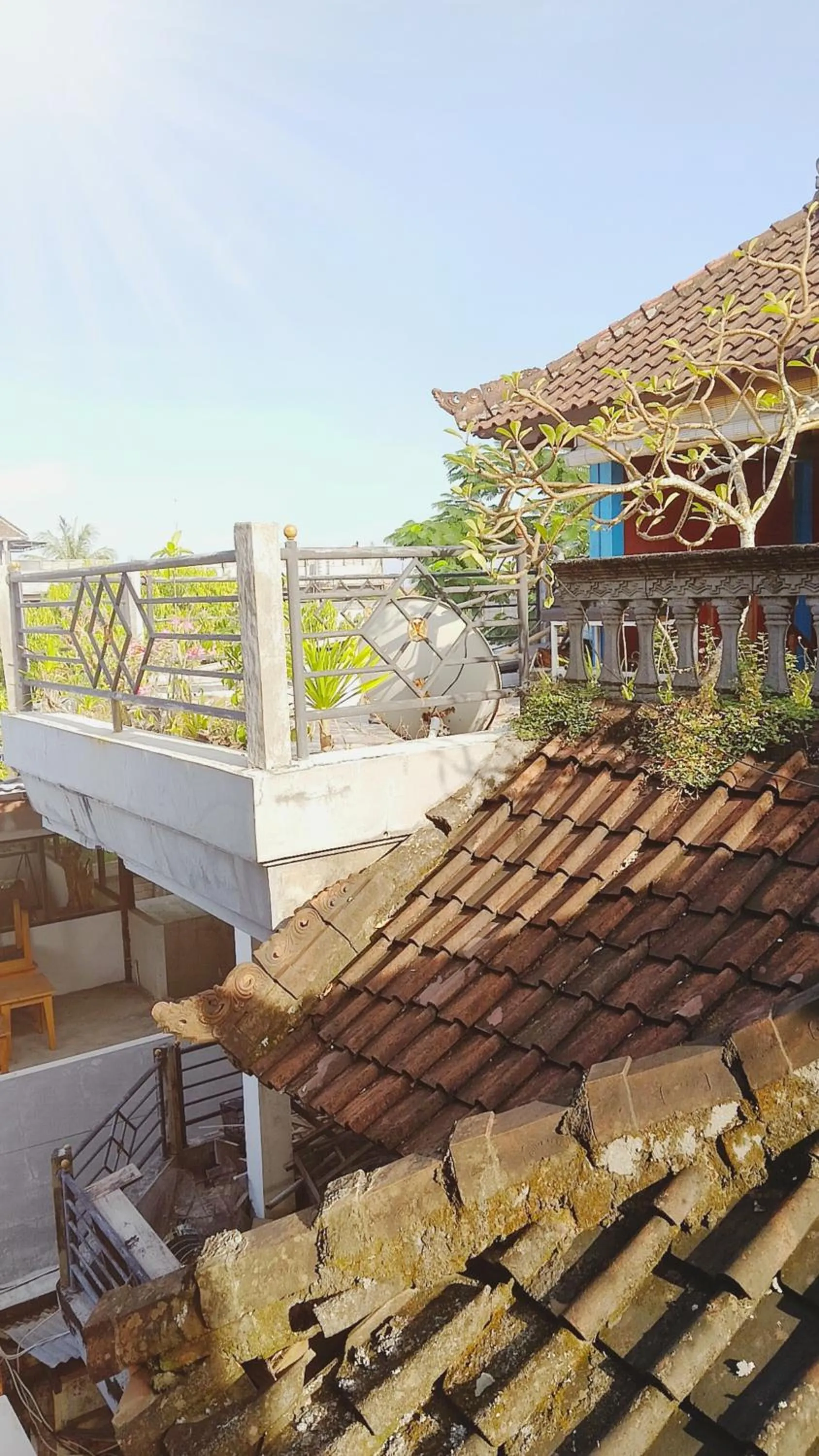 Property building in Bali DD homestay seminyak