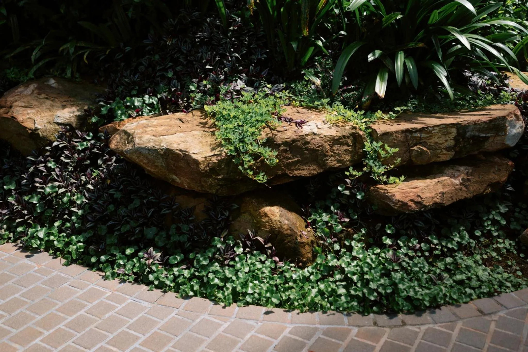 Garden in VARANA Krabi Hotel