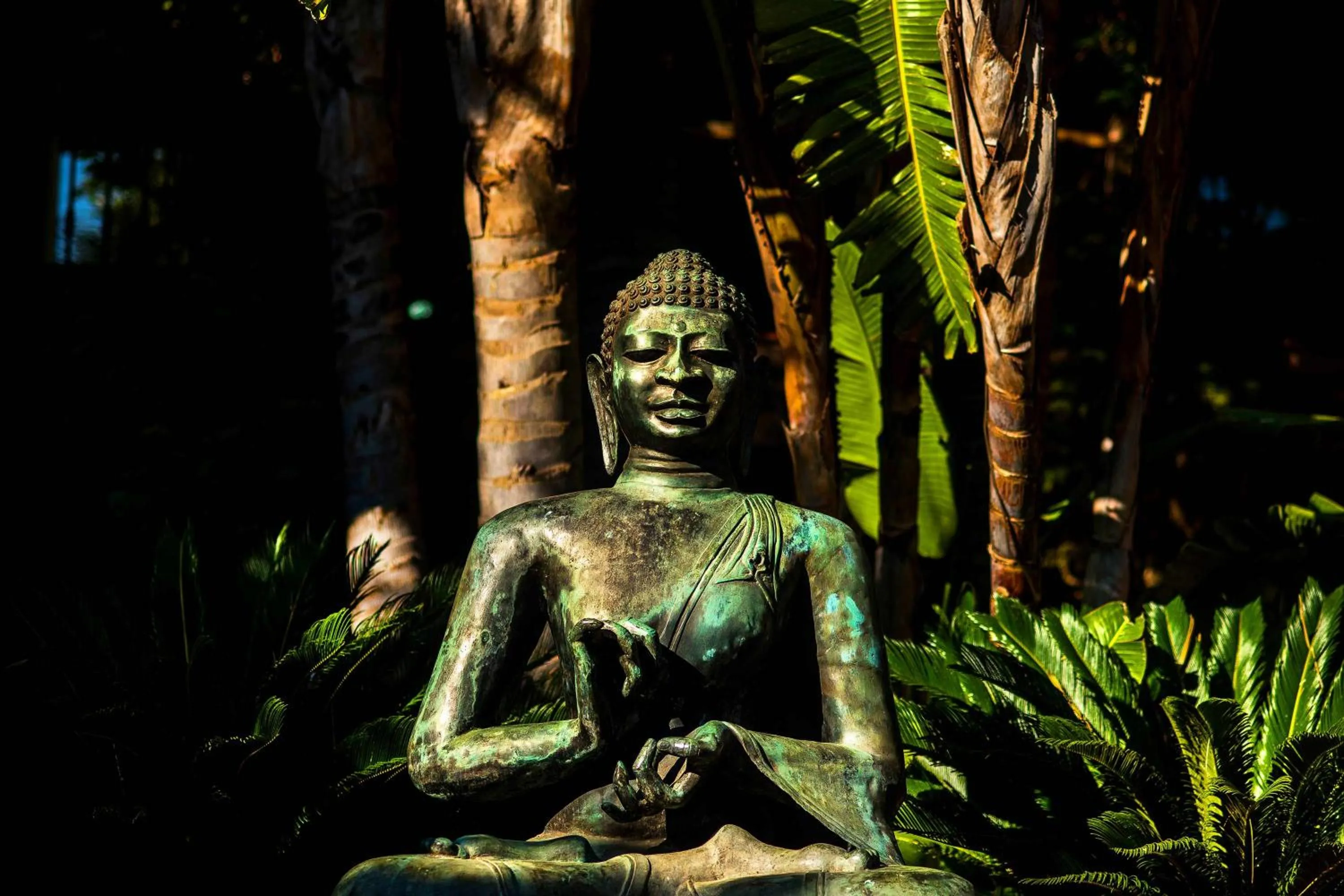 Garden in Chillout Hotel Tres Mares