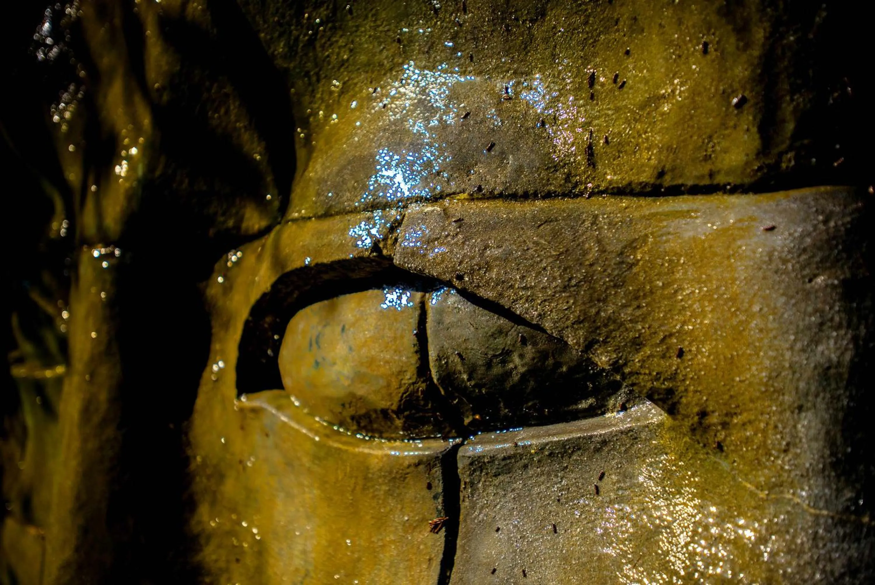 Garden in Chillout Hotel Tres Mares