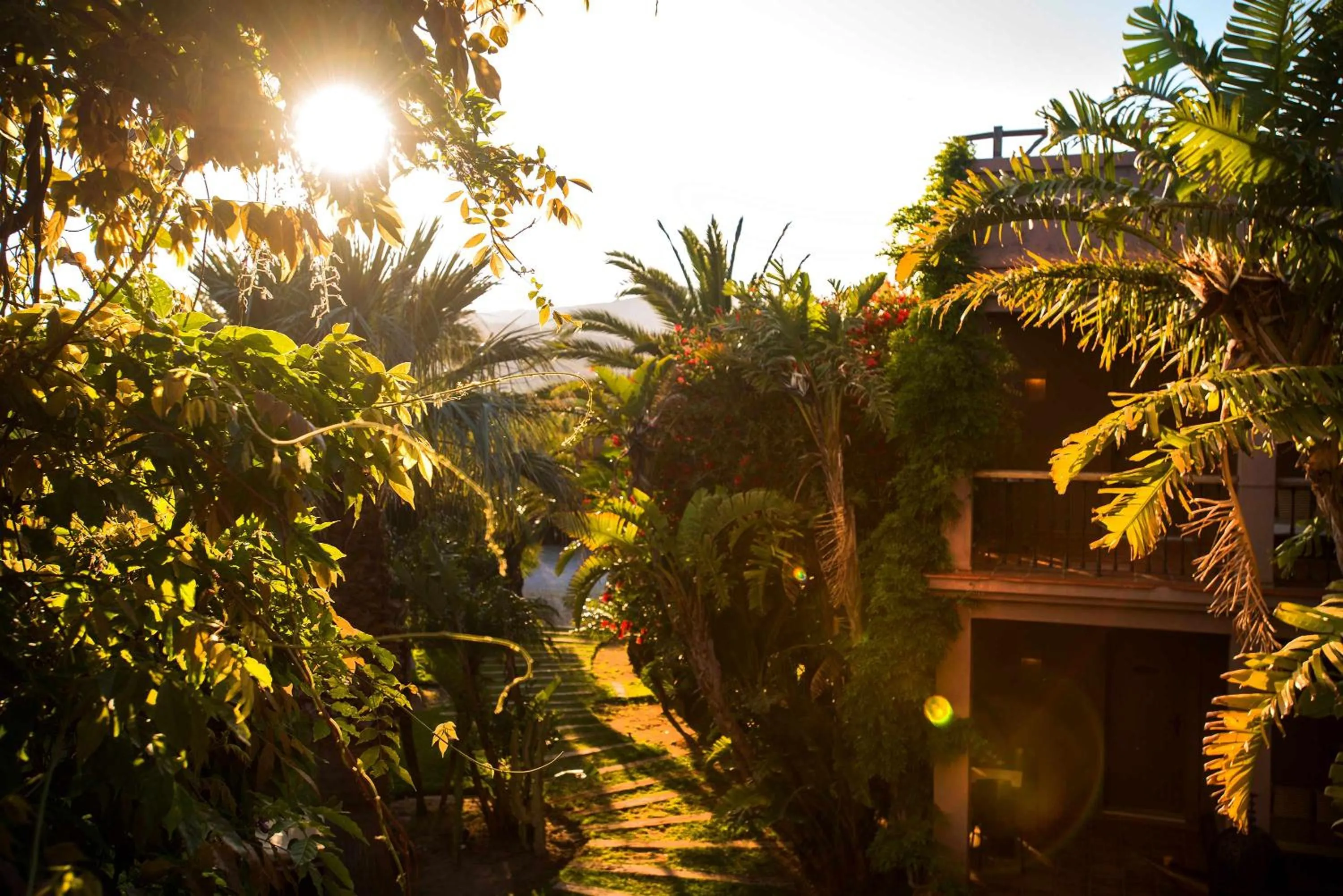 Spring in Chillout Hotel Tres Mares