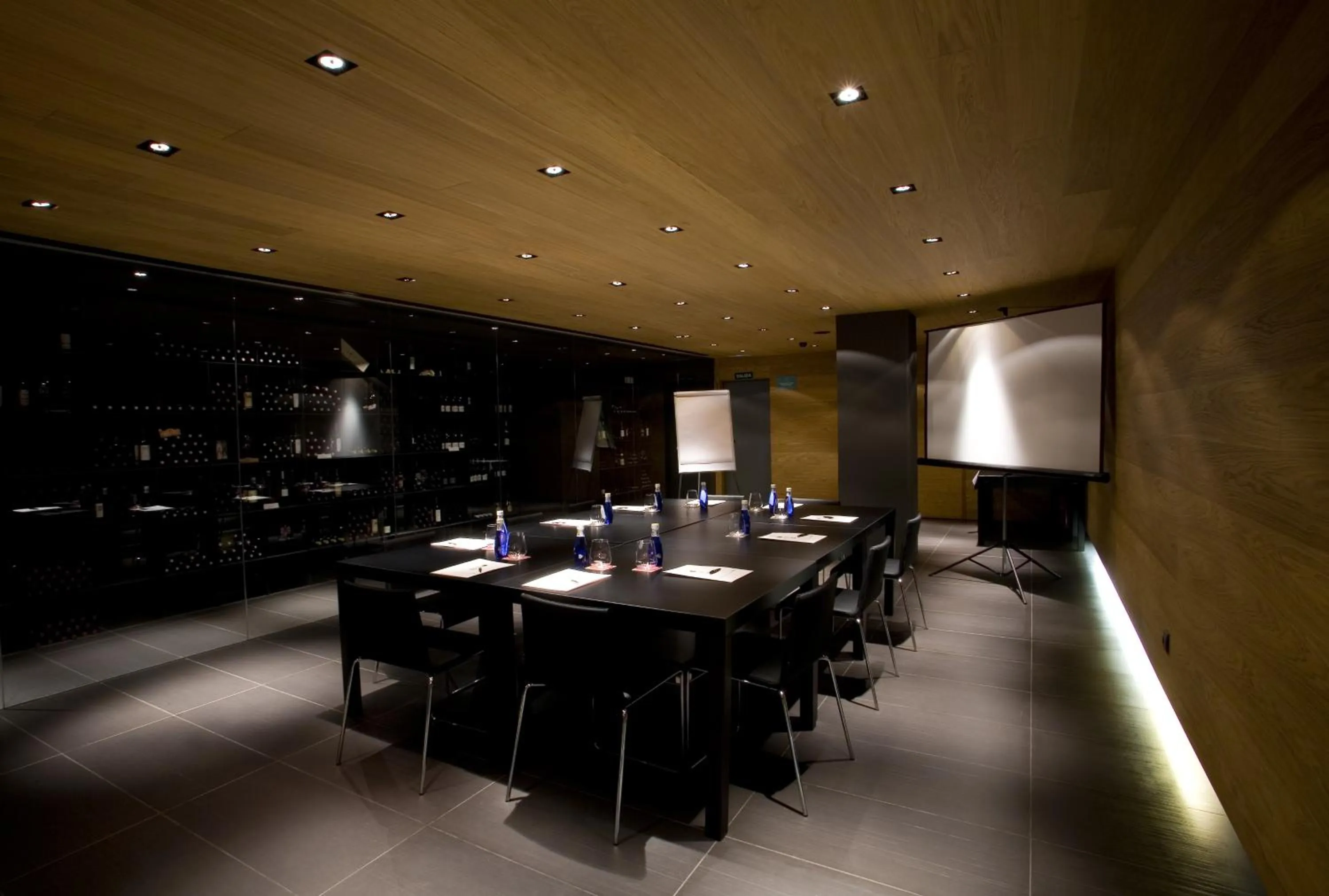 Business facilities in Blu Hotel Almansa