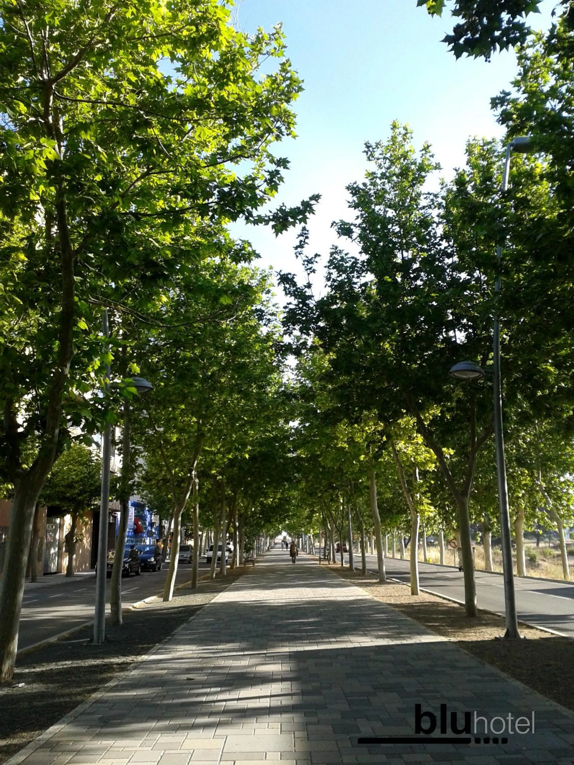 Neighbourhood in Blu Hotel Almansa