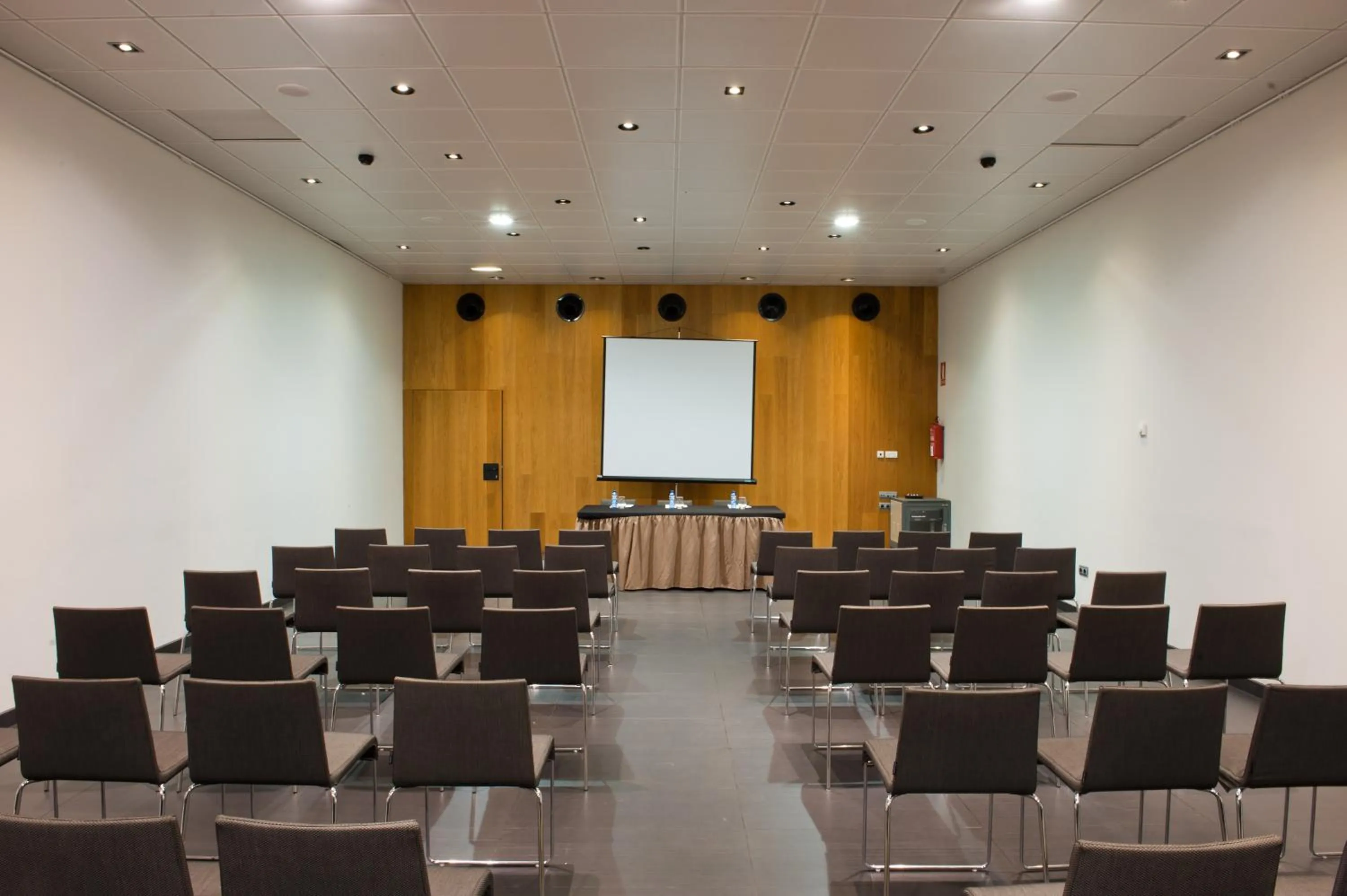 Business facilities in Blu Hotel Almansa