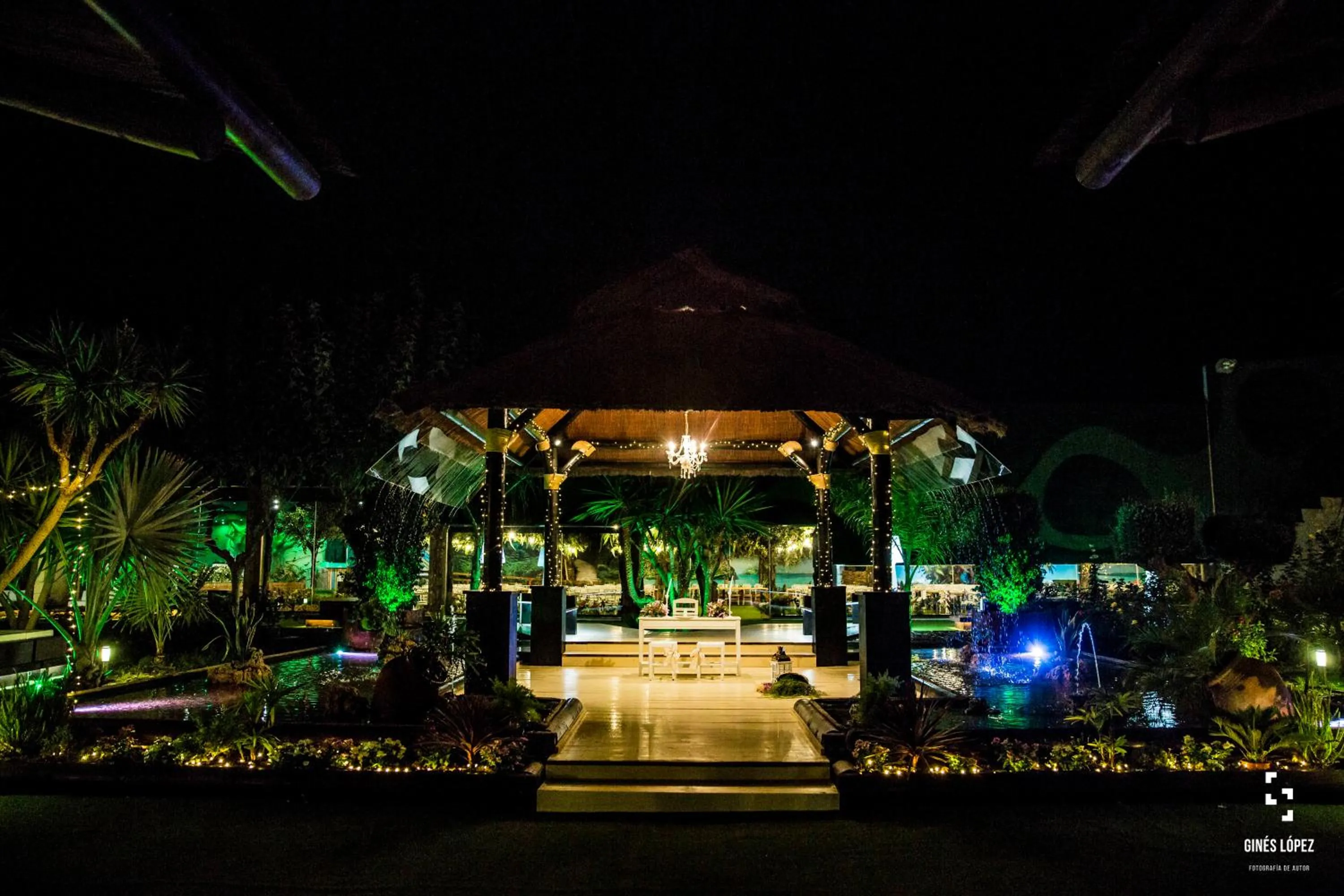 wedding in Executive Sport