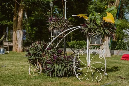 Garden in Farm Stay Resort - Shamirpet, Hyderabad