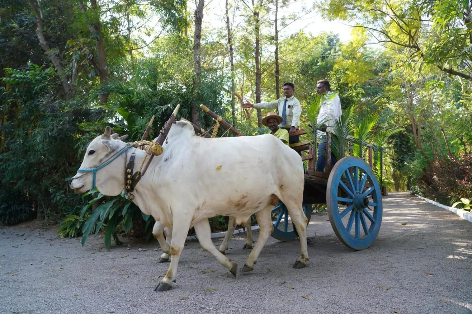 Farm Stay Resort - Shamirpet, Hyderabad