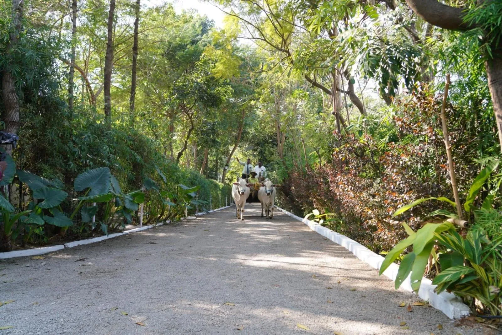 Farm Stay Resort - Shamirpet, Hyderabad