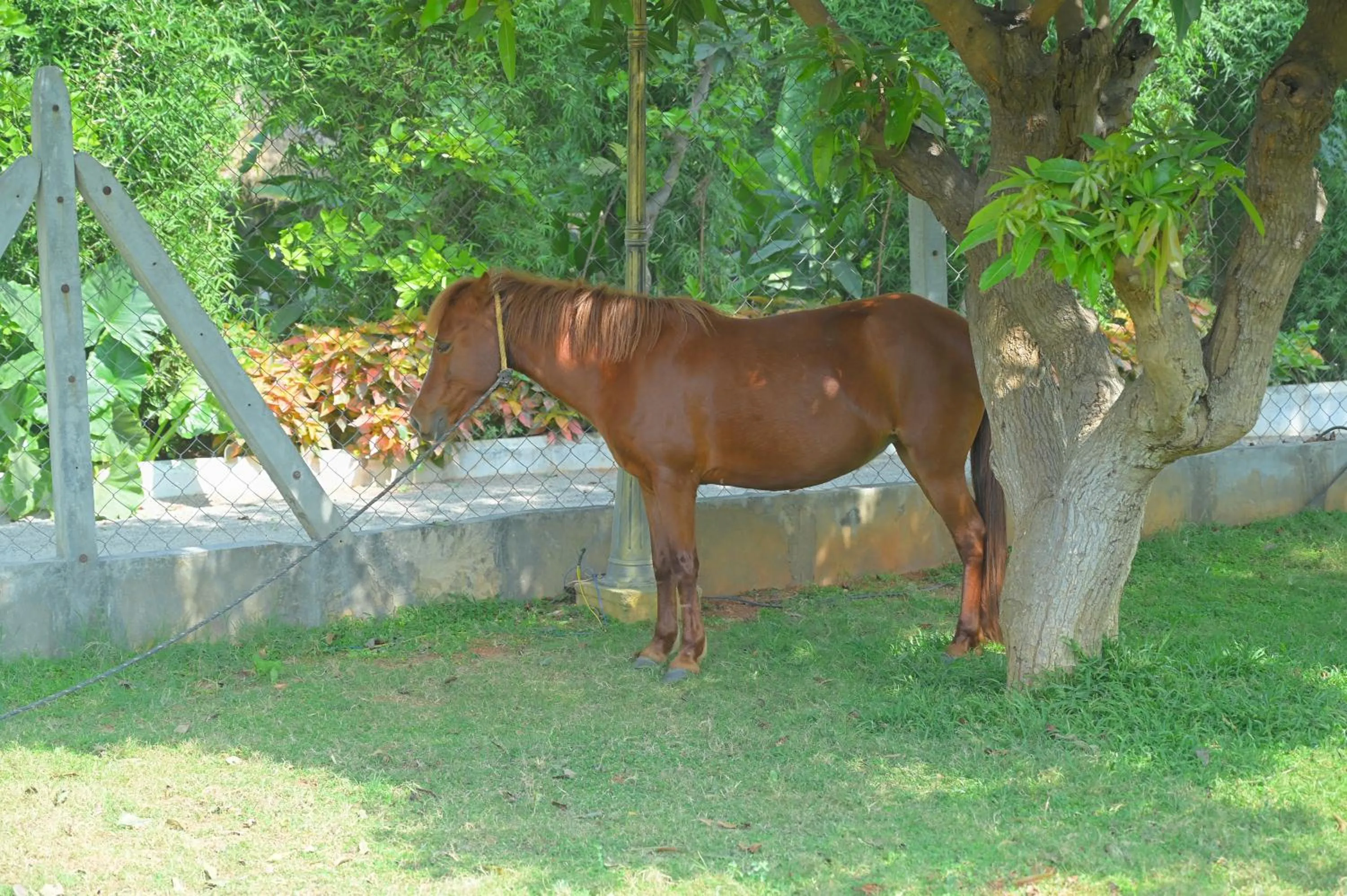 Farm Stay Resort - Shamirpet, Hyderabad