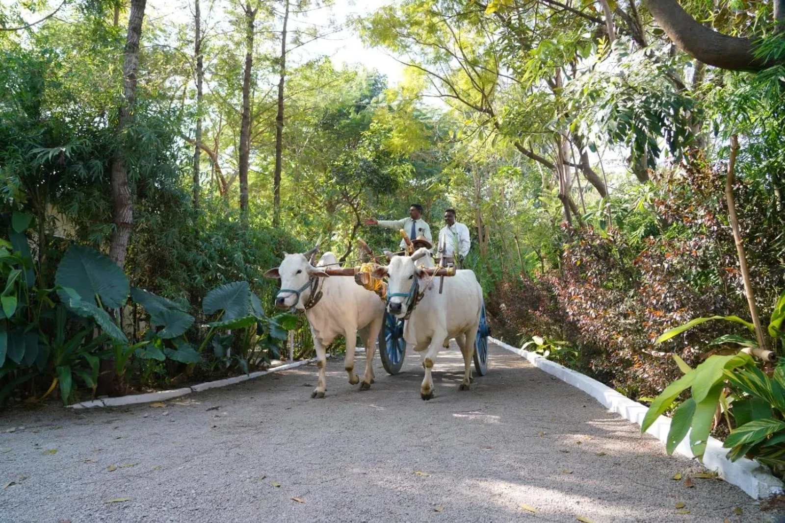 Farm Stay Resort - Shamirpet, Hyderabad