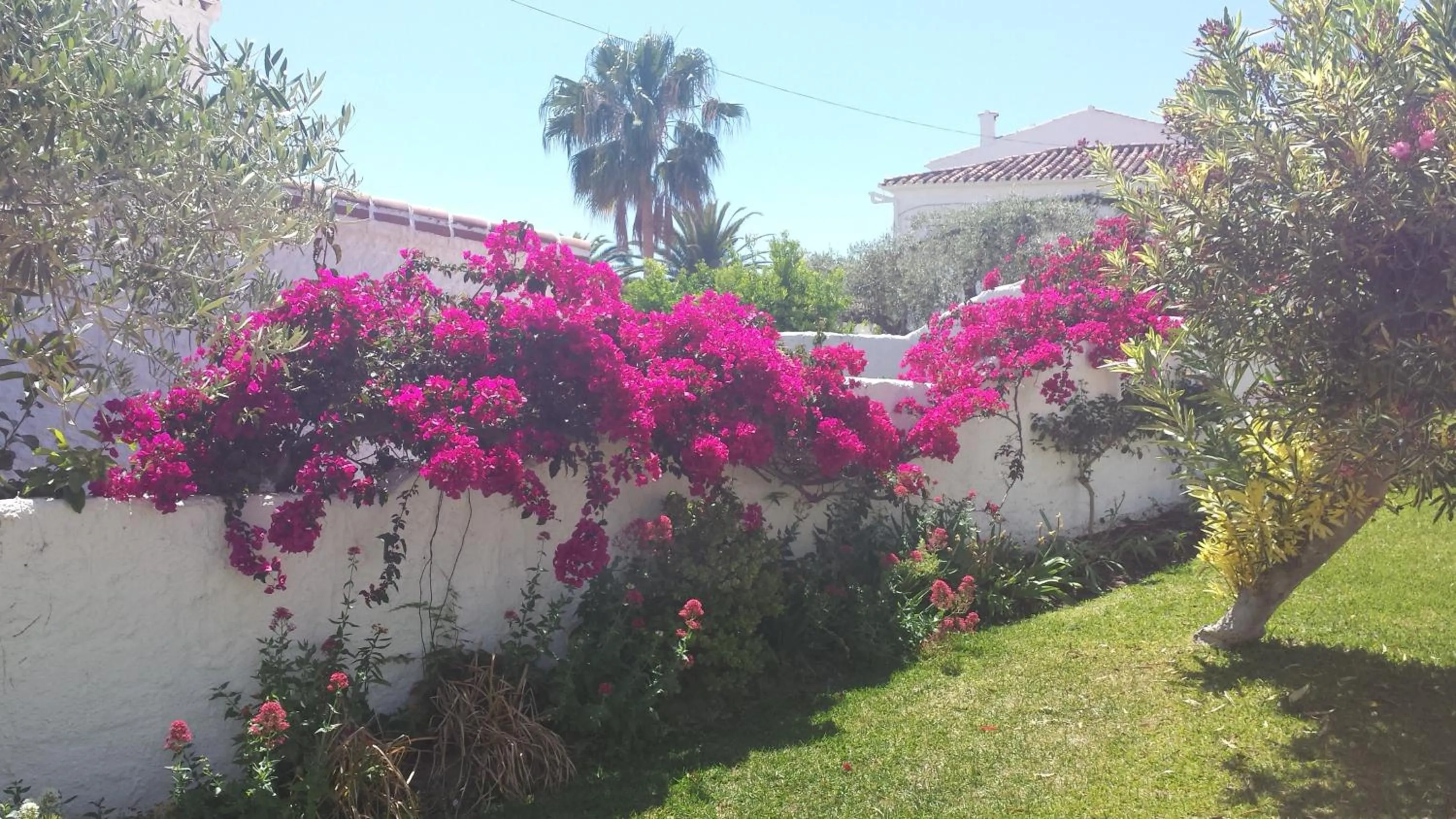Natural landscape in El Capistrano Sur