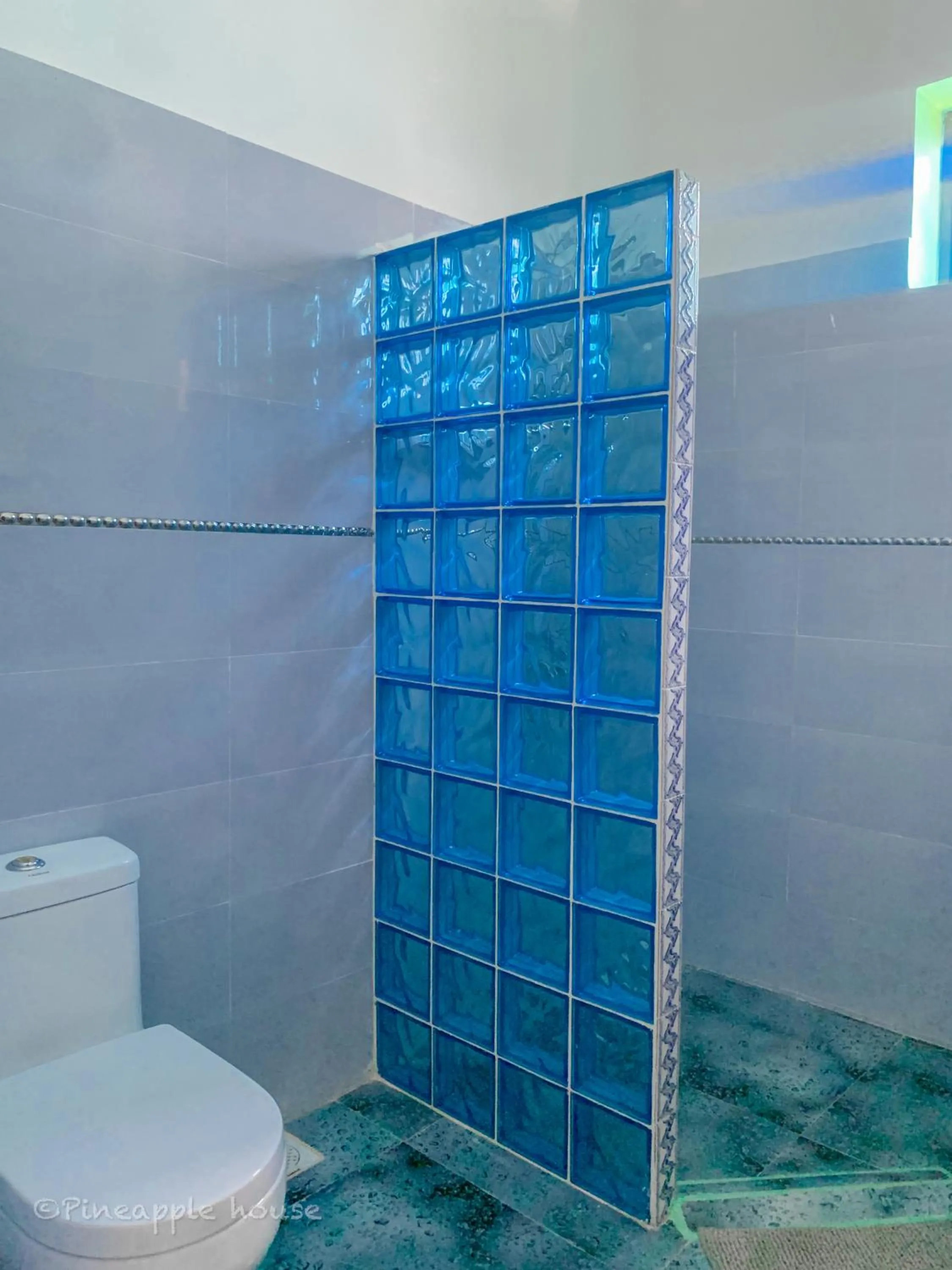 Toilet in Pineapple House