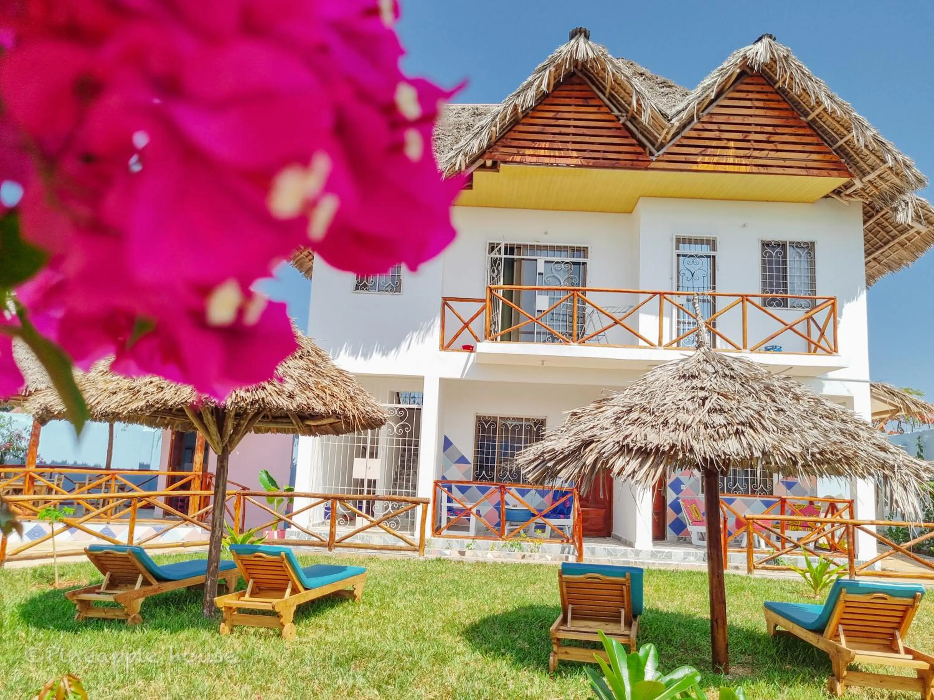 Property building in Pineapple House