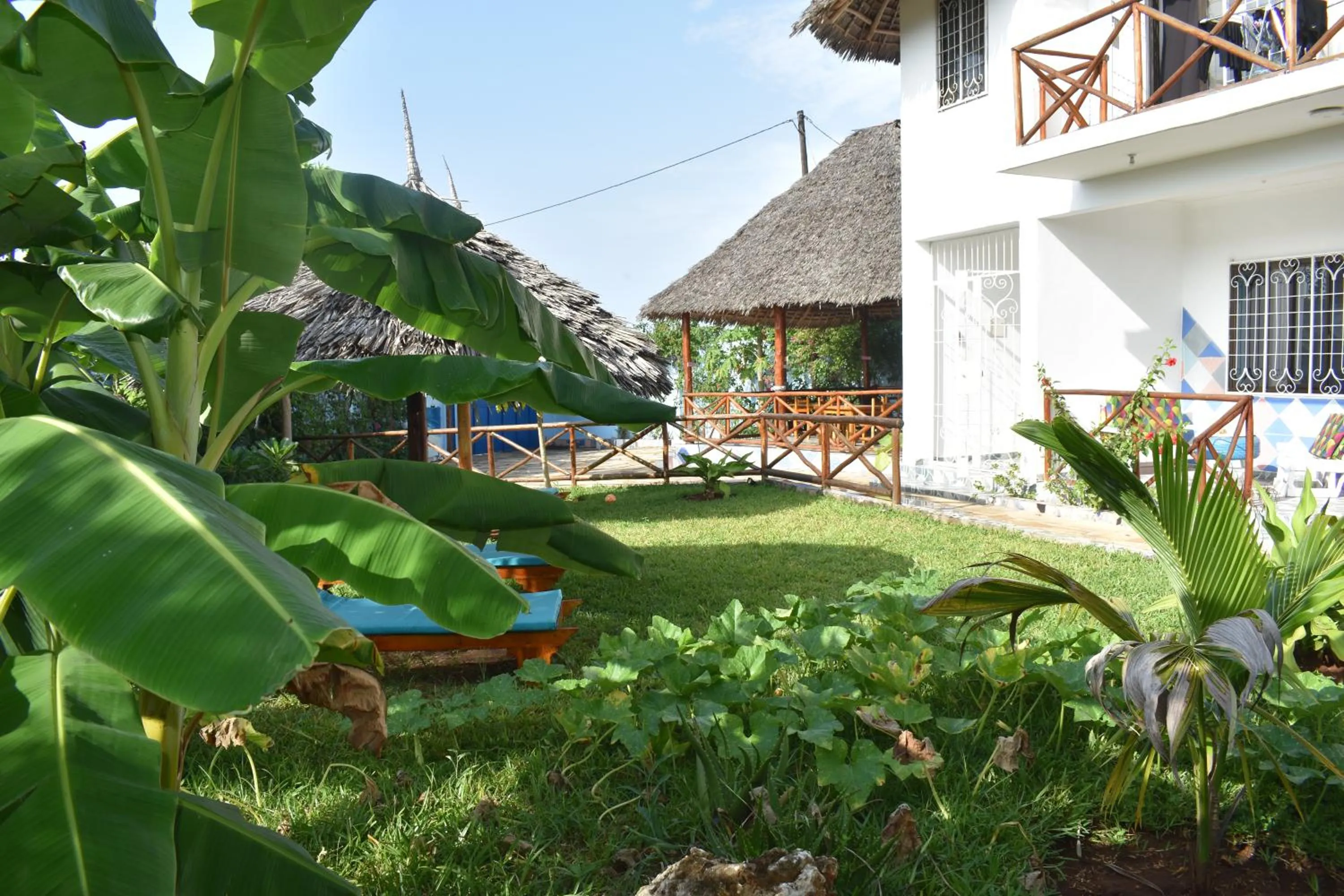 Garden in Pineapple House